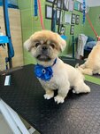 Груминг кабинет (dachny posyolok Kraskovo, Yegoryevskoye shosse, 1к3), pet salon