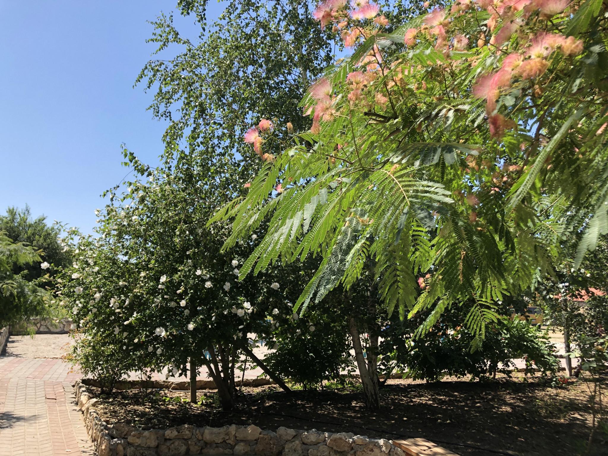 Фото Город-Ок