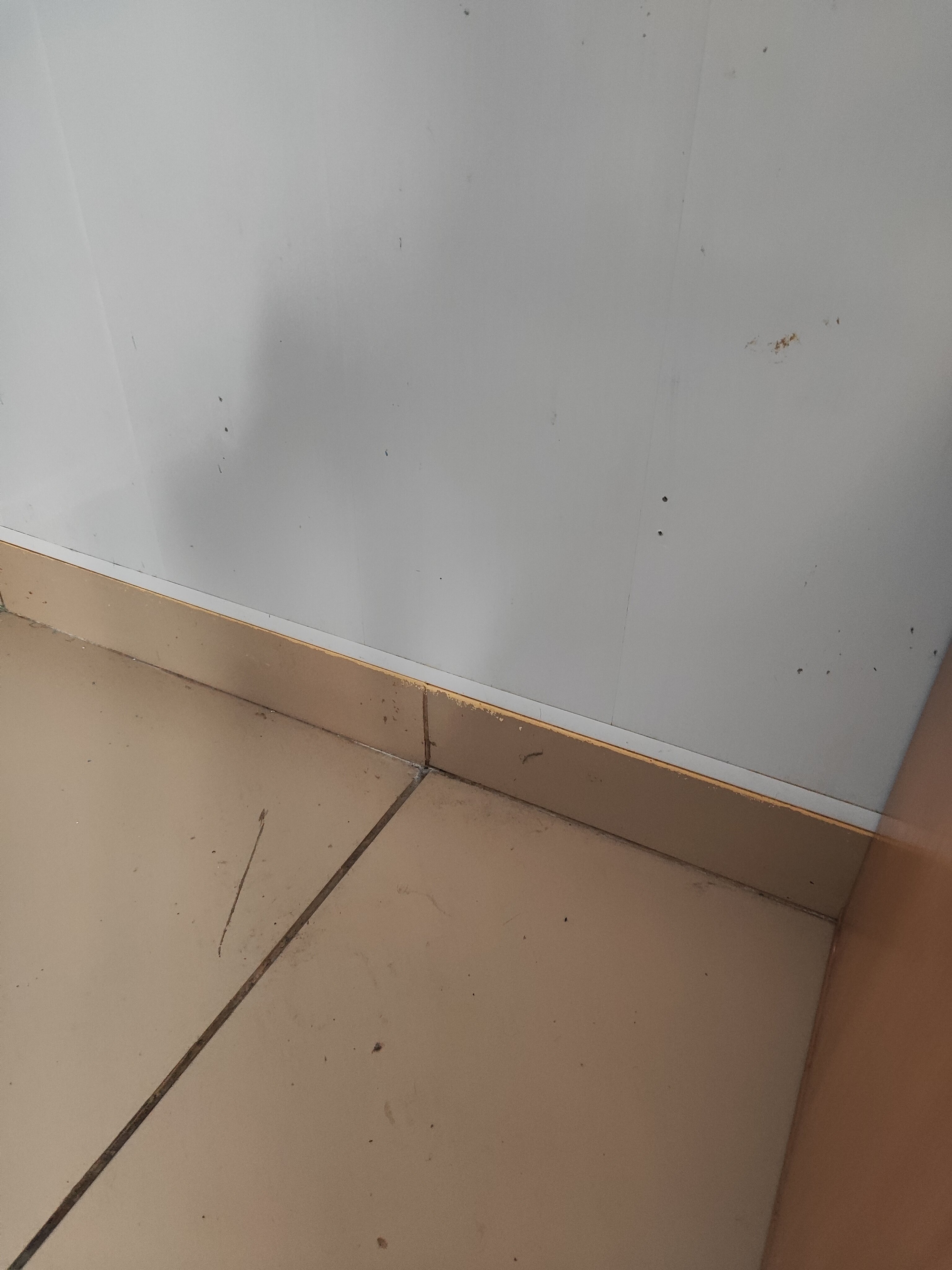 Фото Сити В