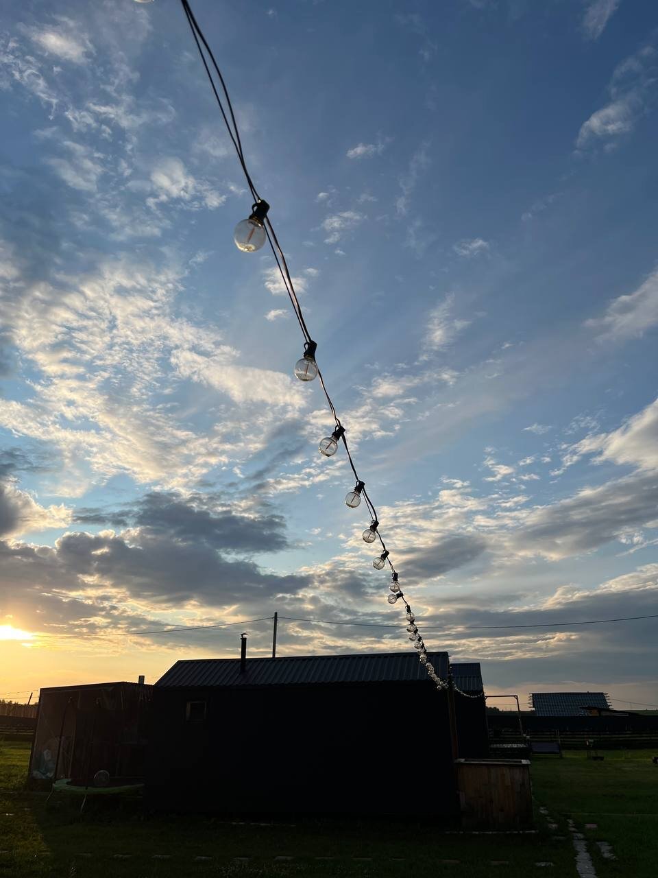 Фото Жар-Птица