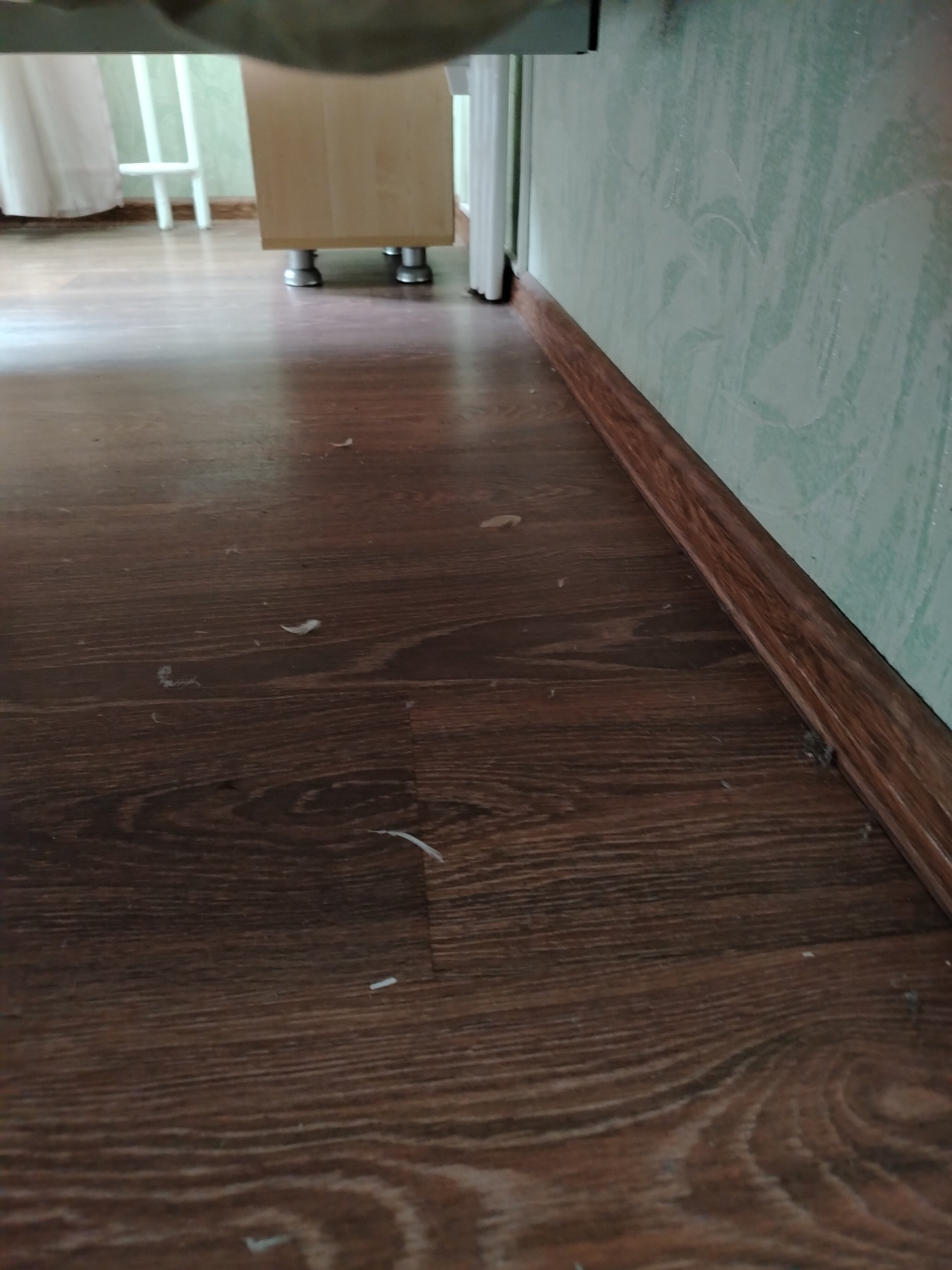 Фото Евролюкс