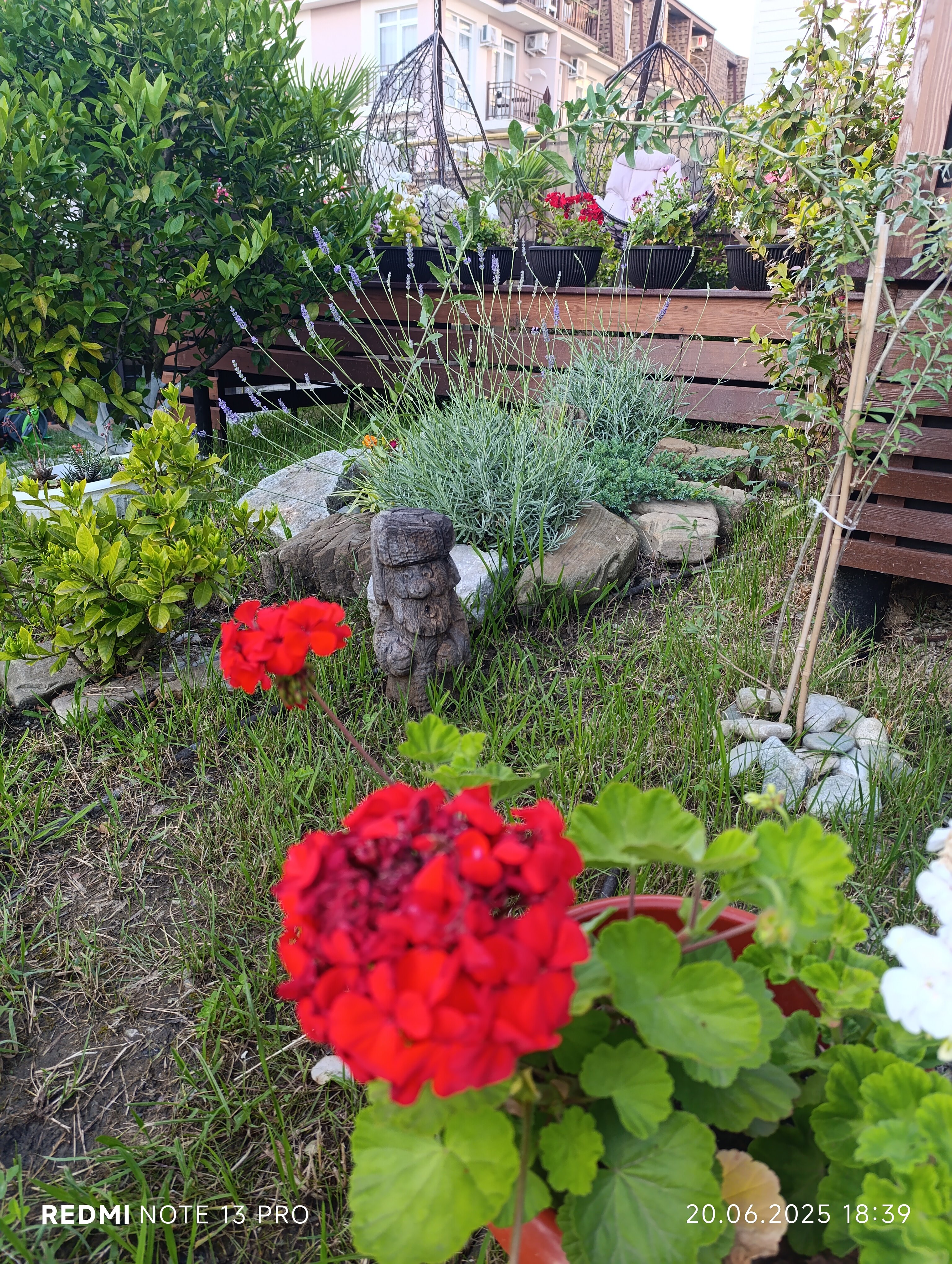 Фото Сербия