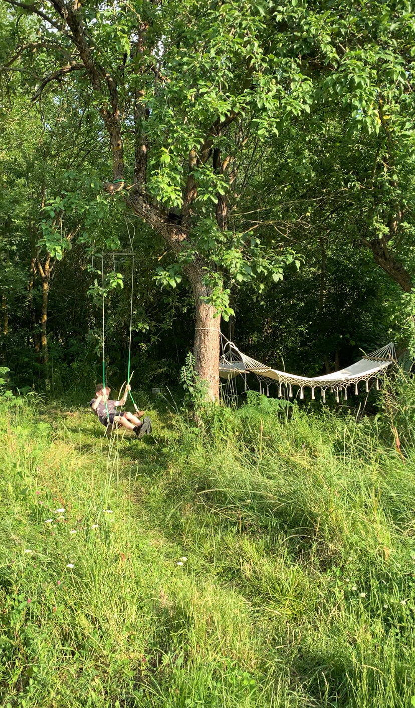 Фото Тихий Лес