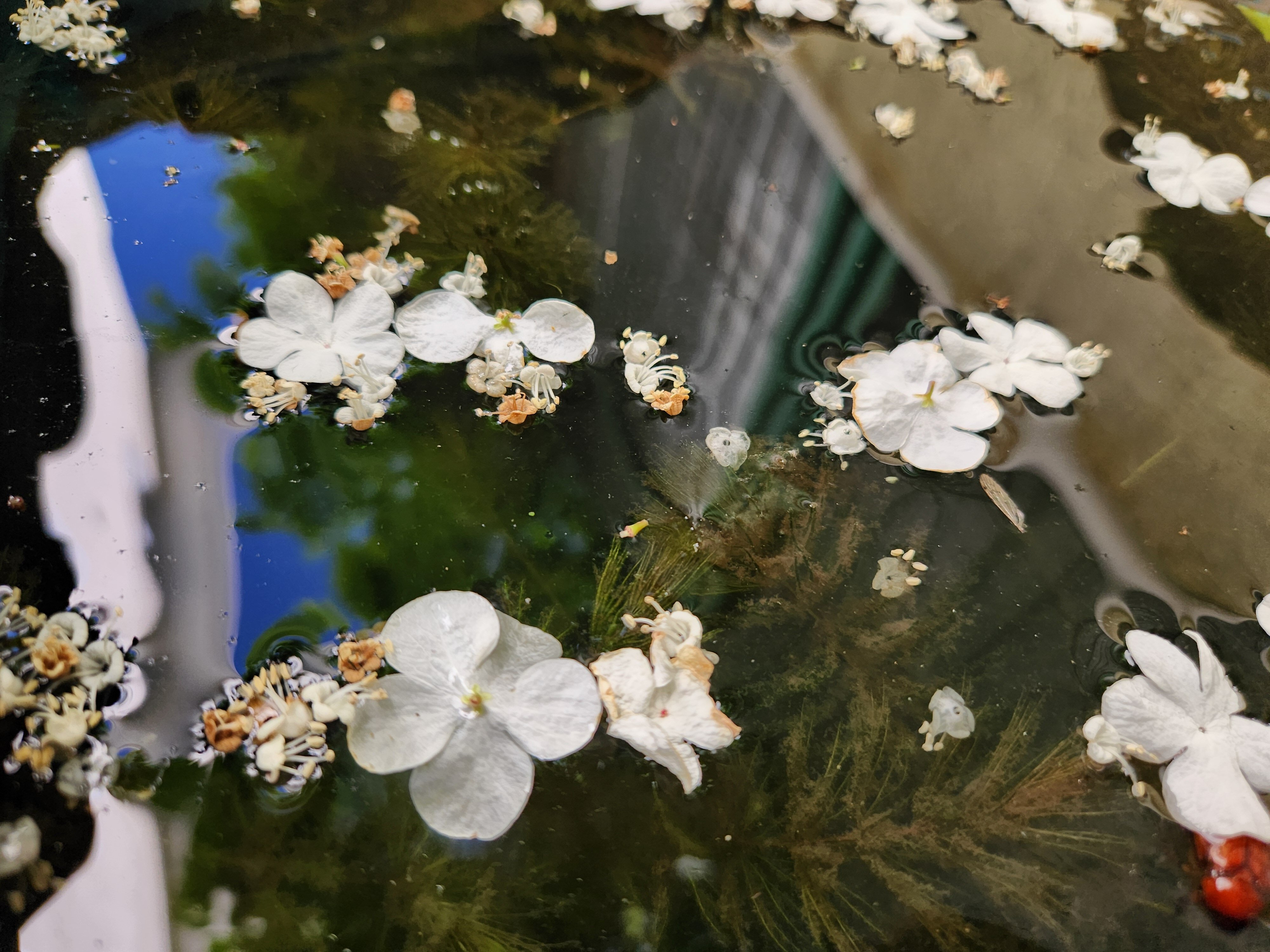 Фото Перевальное Эко Дом