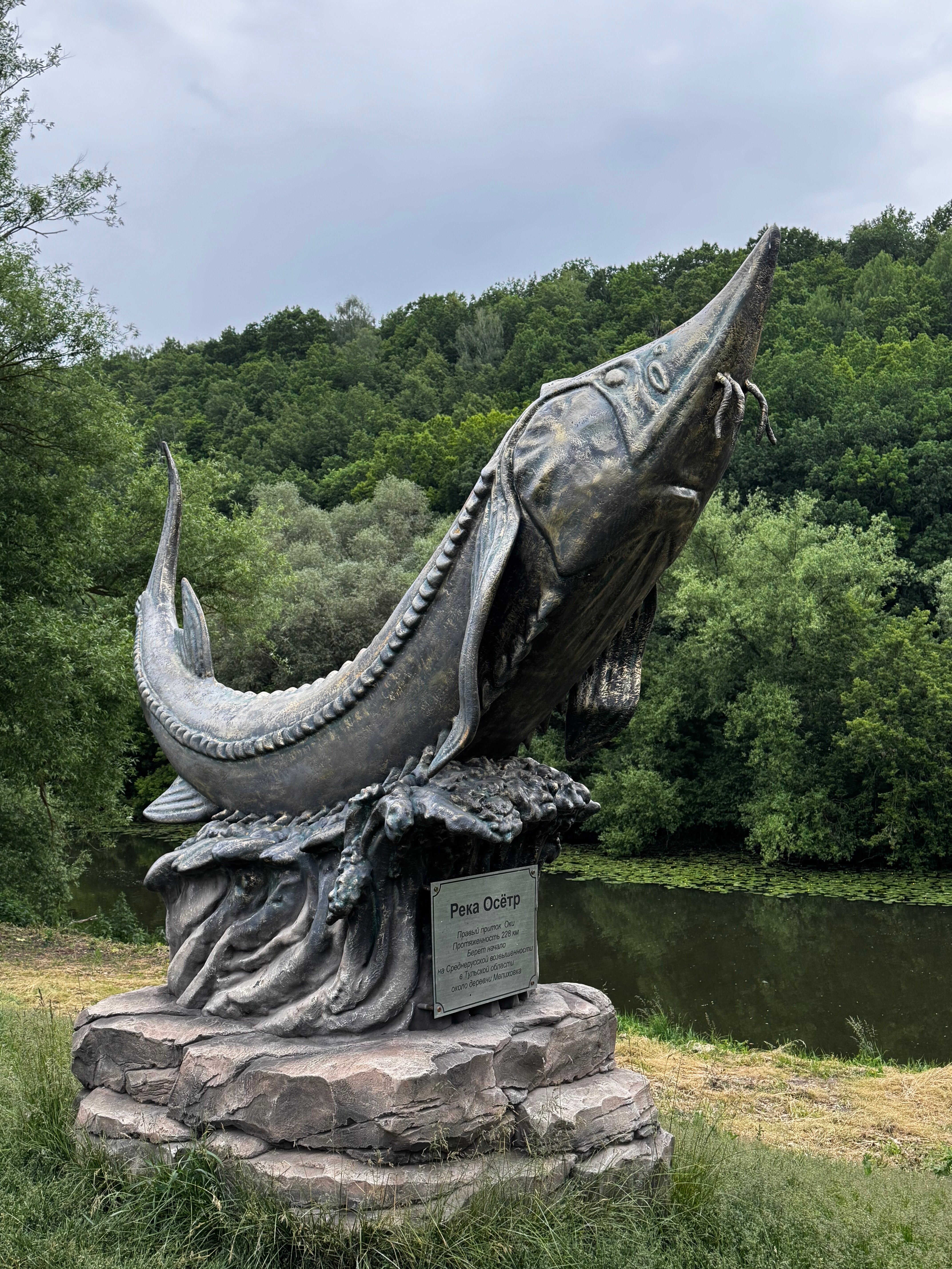 Фото Цэт Берхино