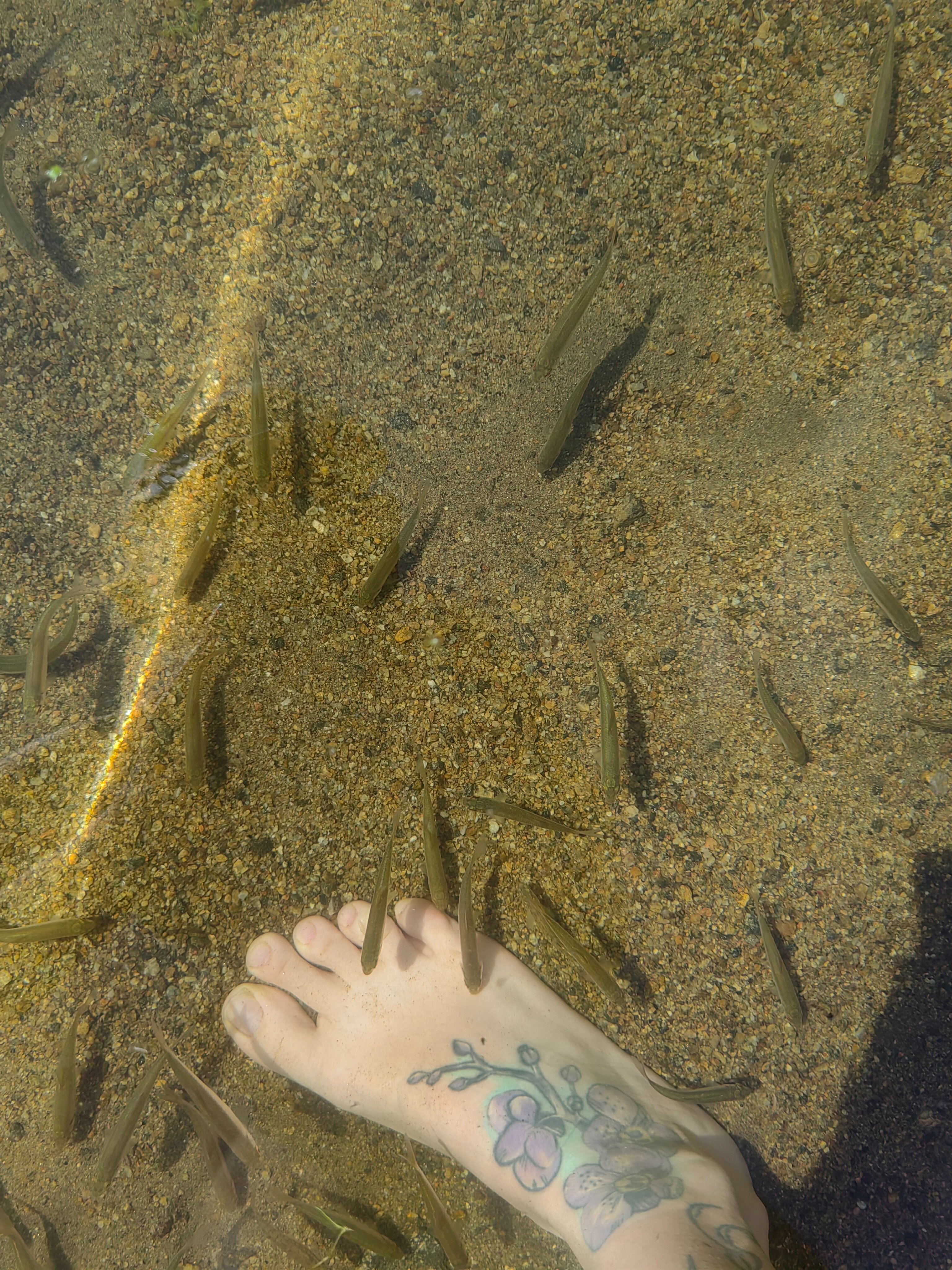 Фото ЭкоАура