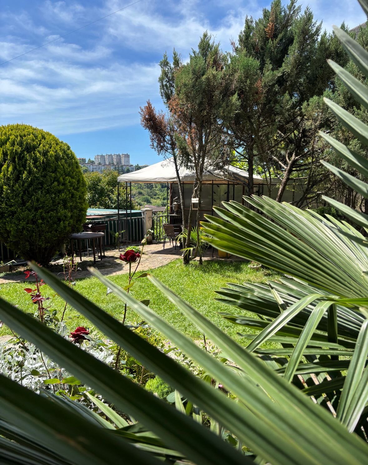 Фото Клубный Дом