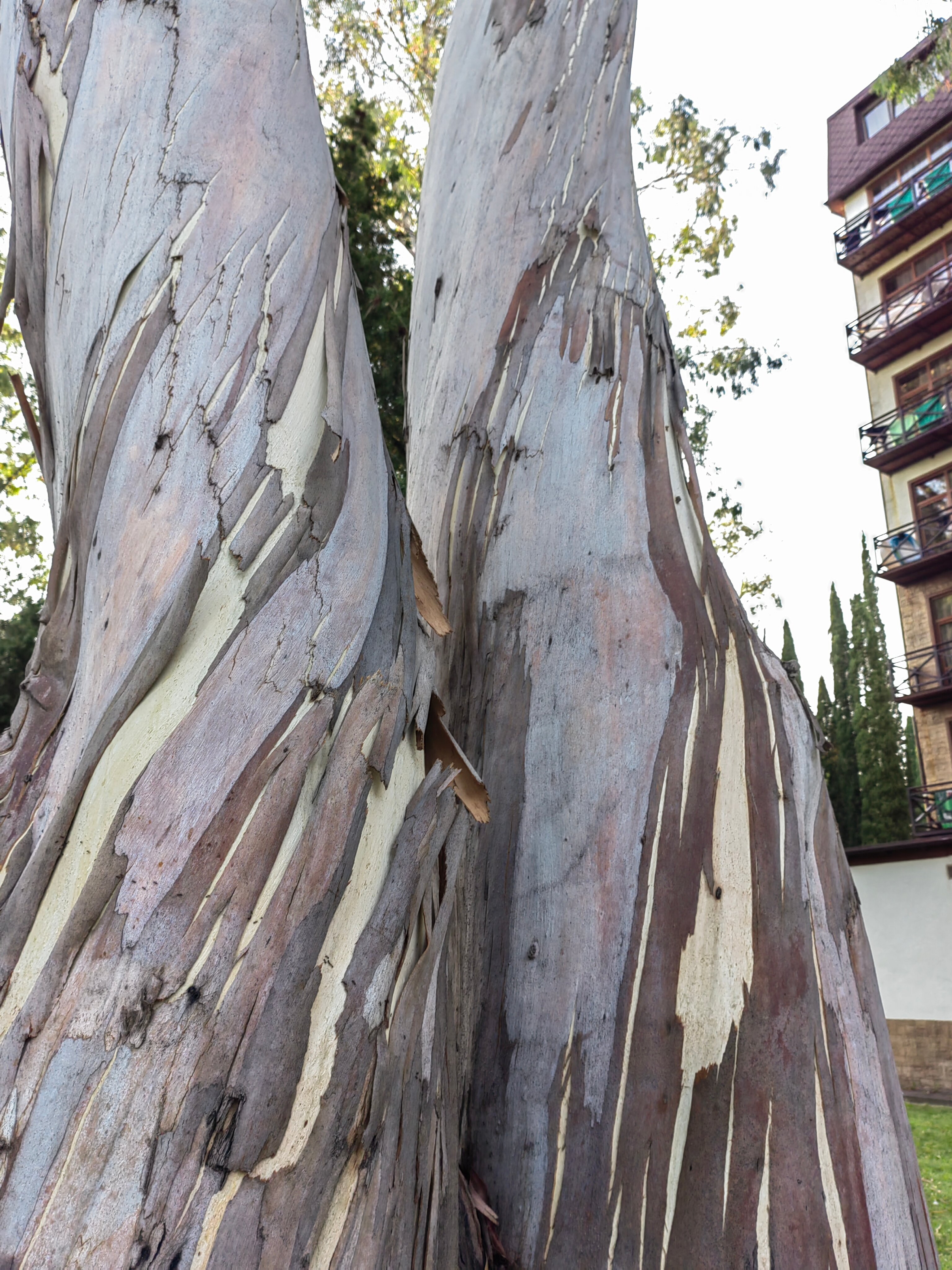 Фото Пролето