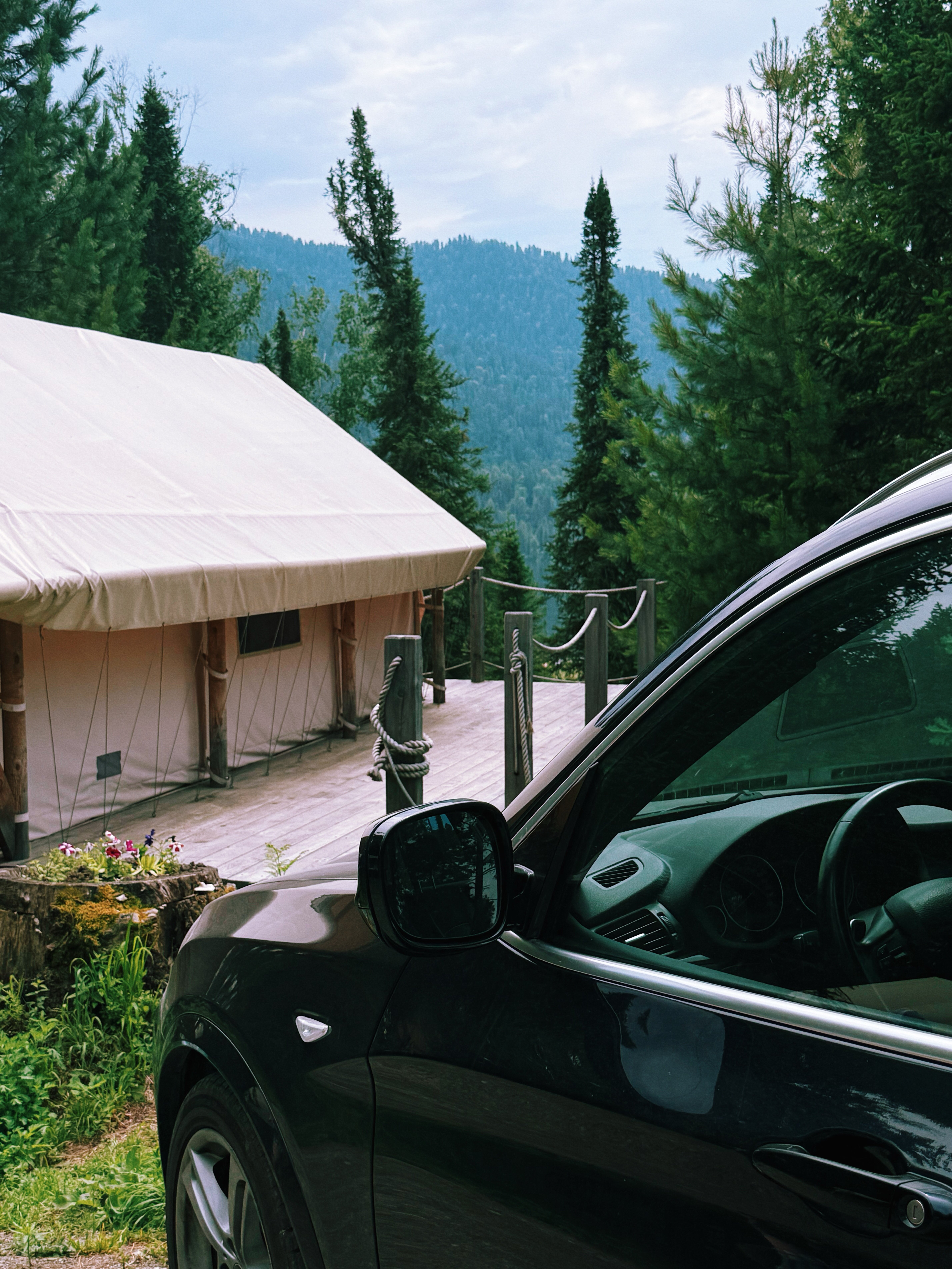 Фото Кедровая берлога