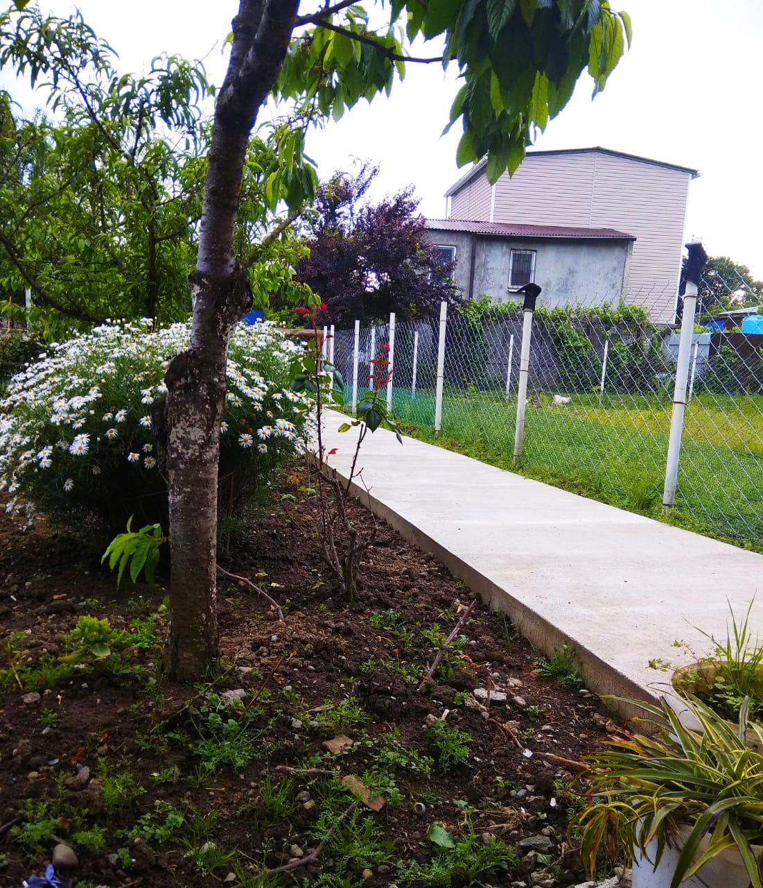 Фото Гостевой дом Людмила