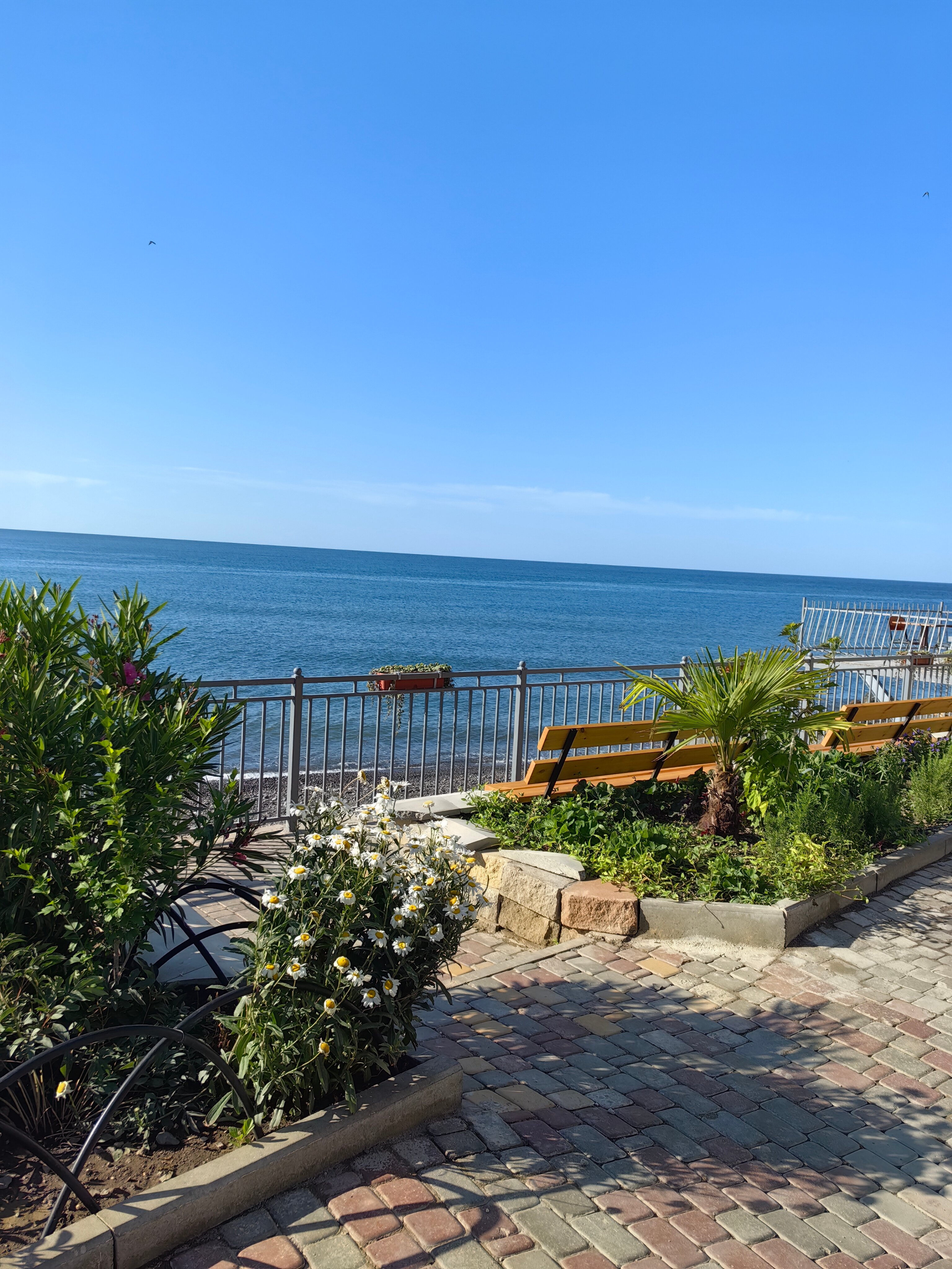 Фото Первая Линия