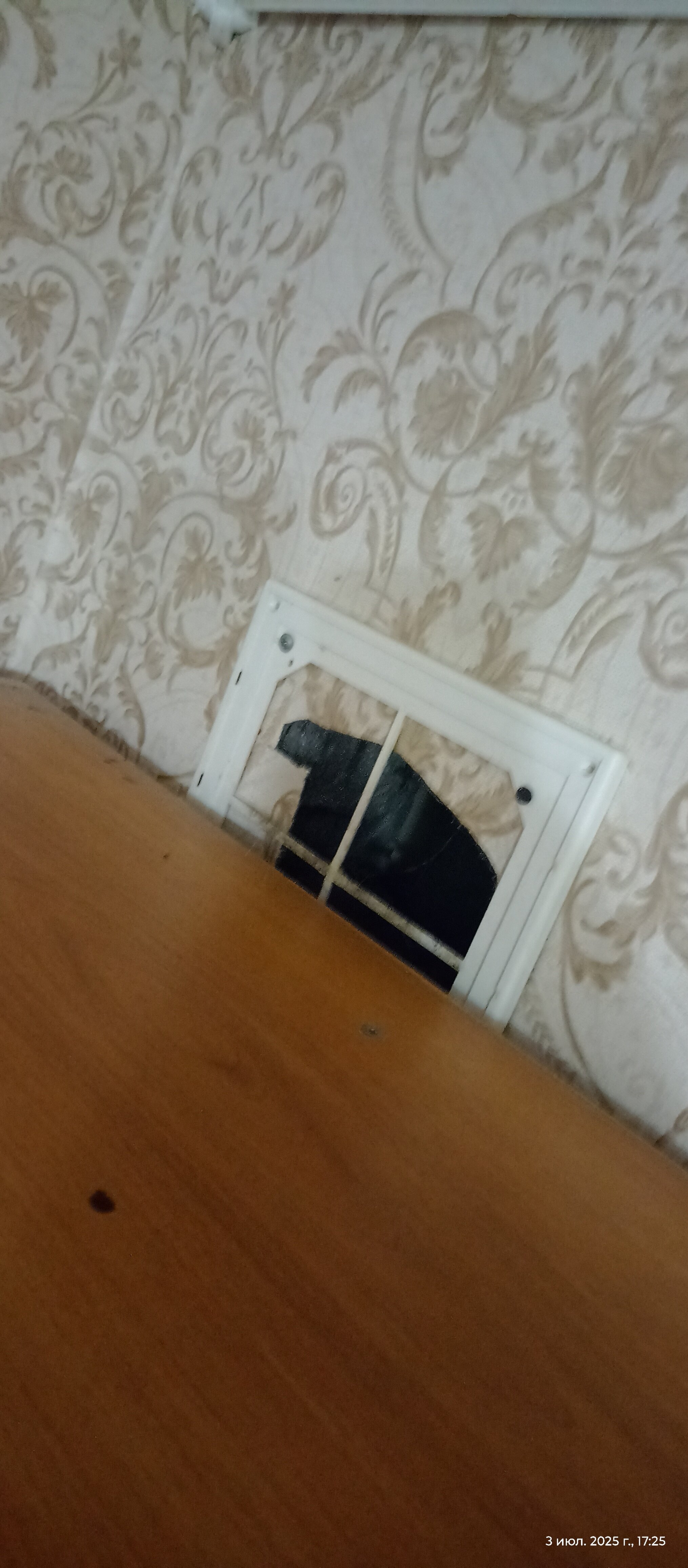 Фото Камелия