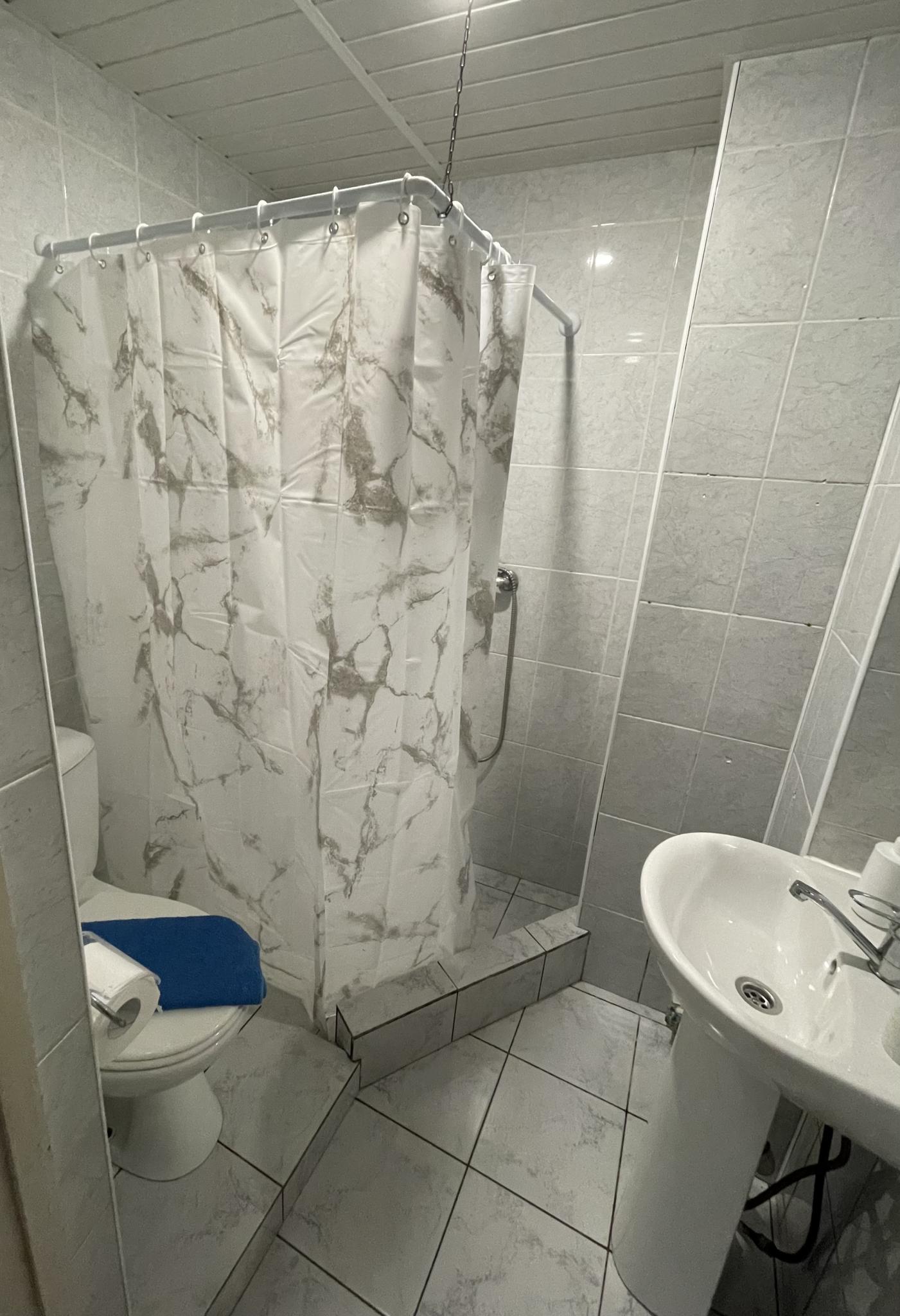 Фото Вистерия