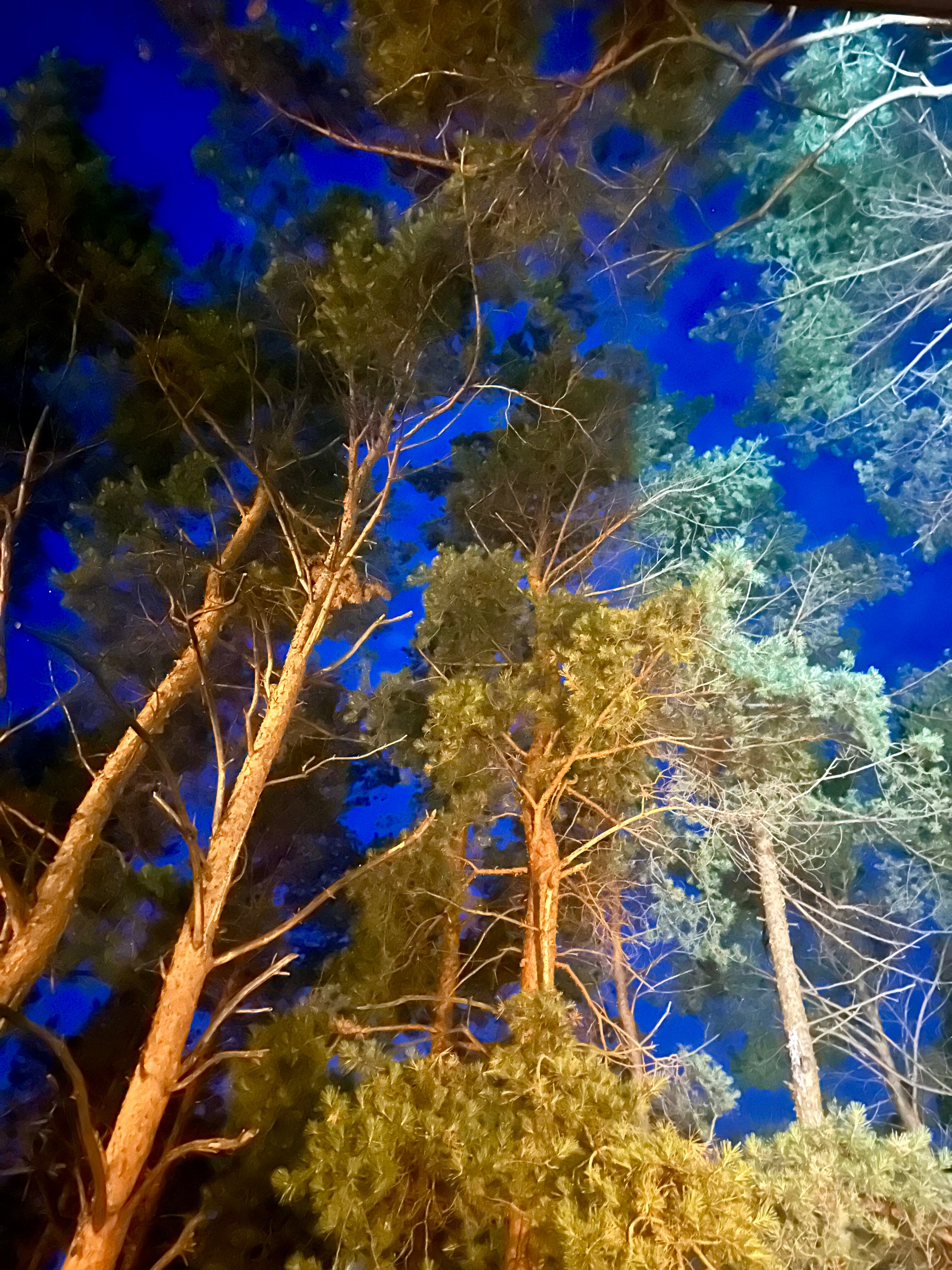 Фото Суеты. нет