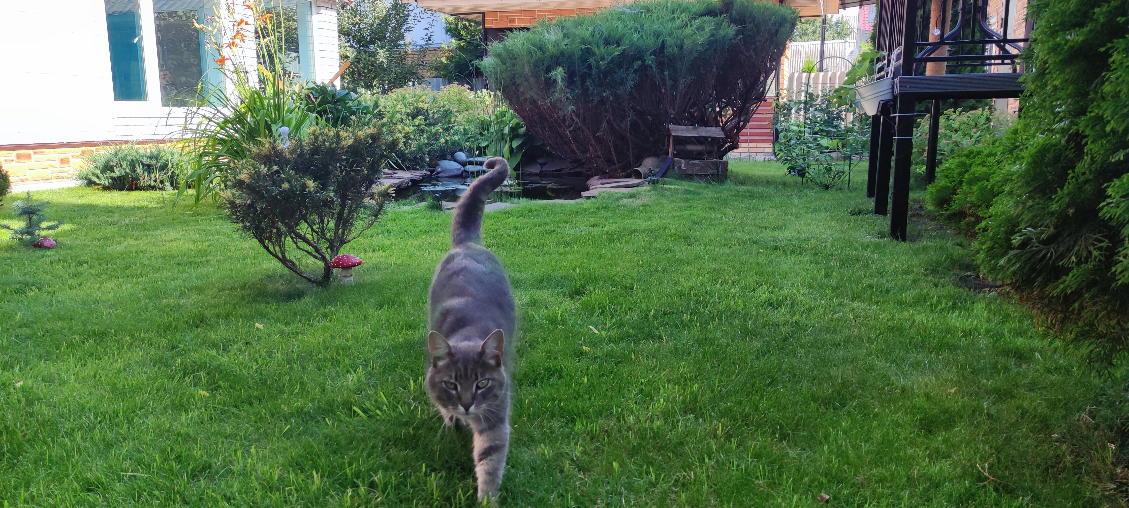 Фото Дворик