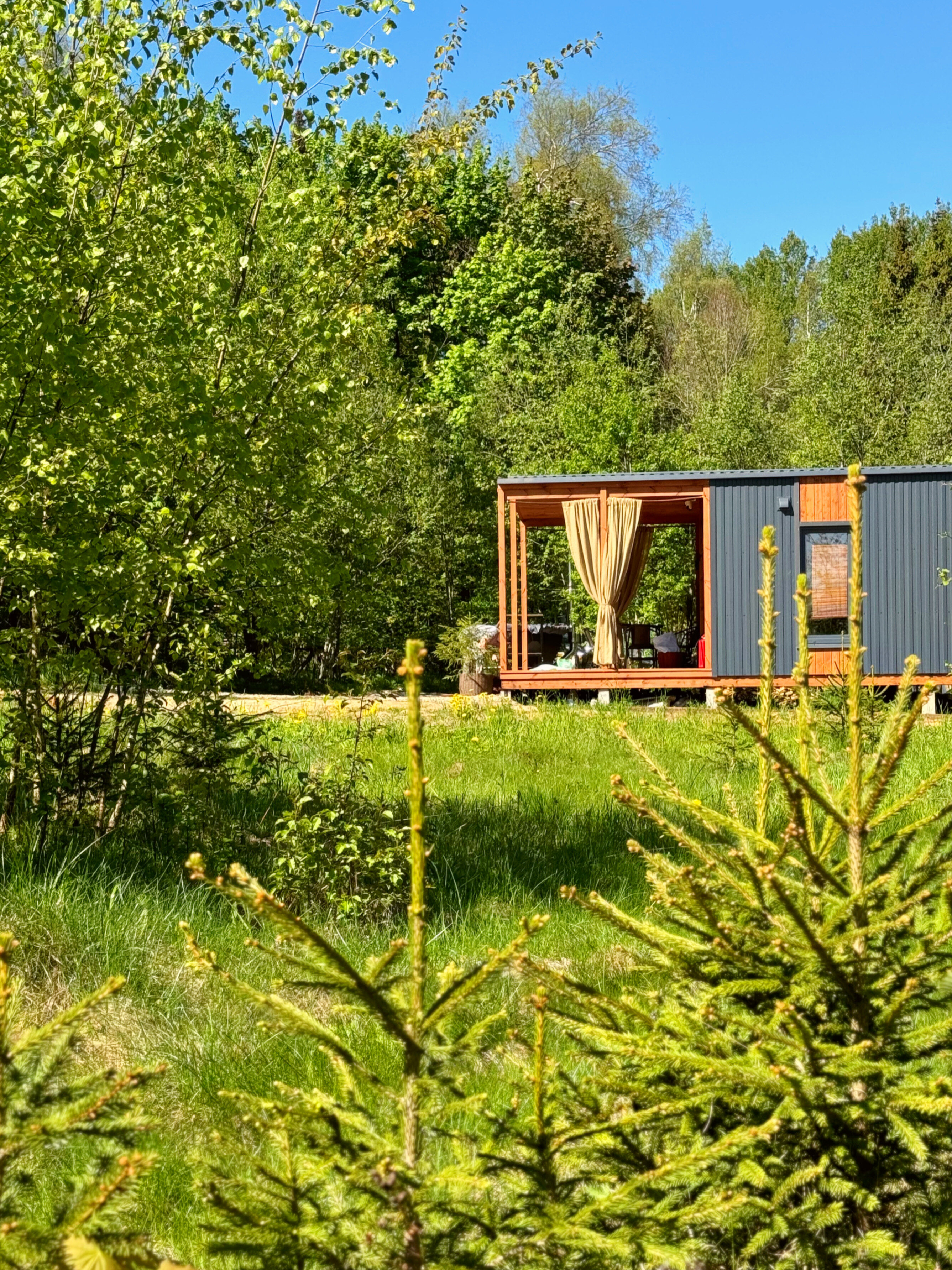 Фото Три Обезьяны