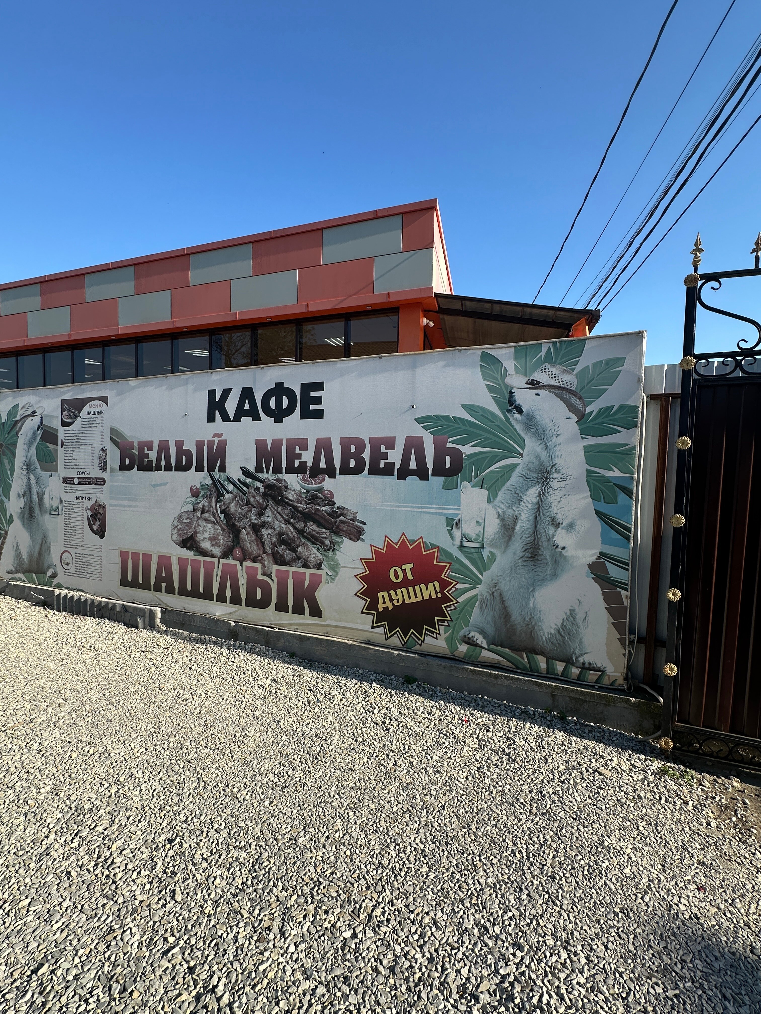 Фото Белый медведь