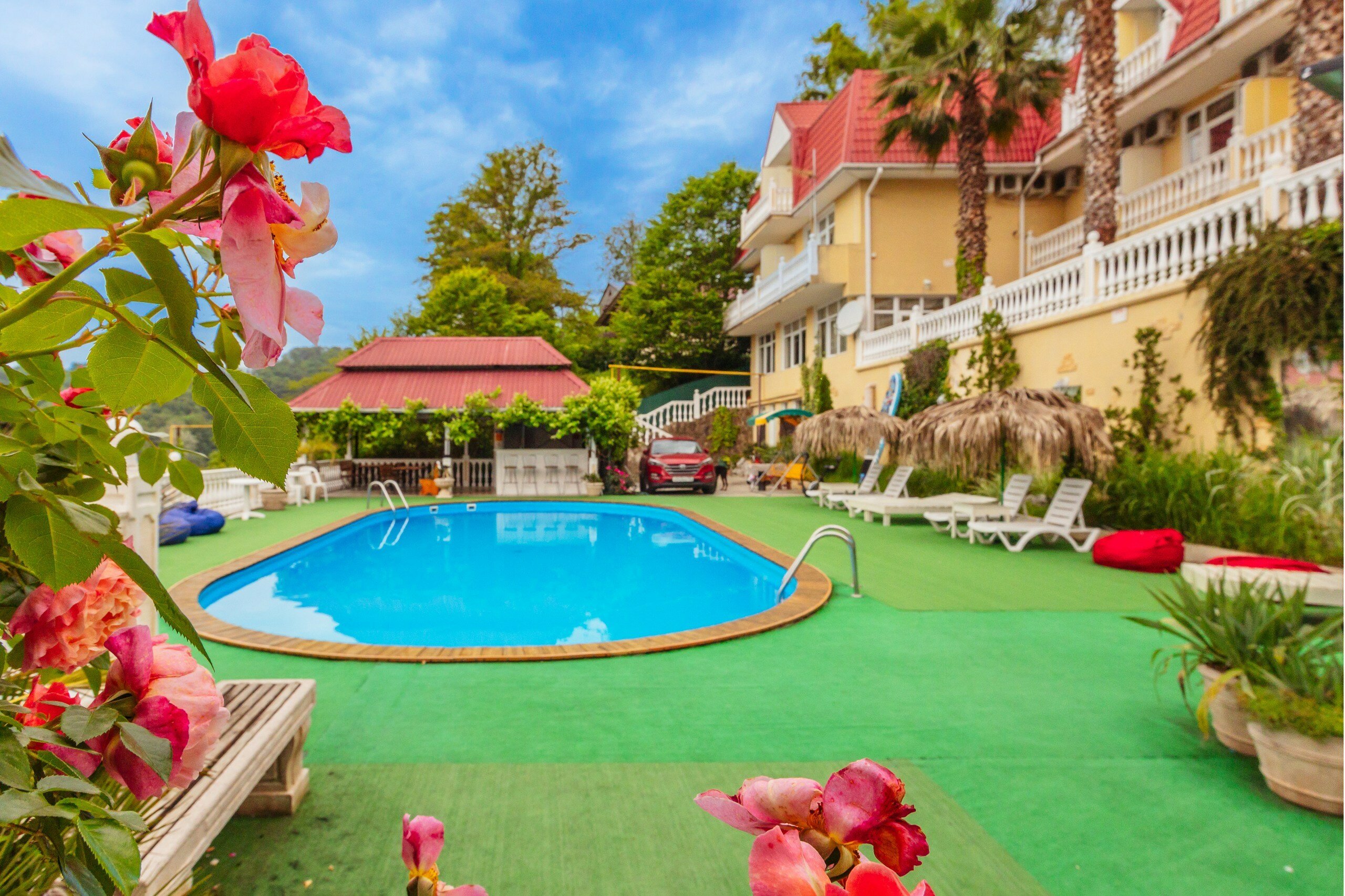 Фото Аист и Капуста