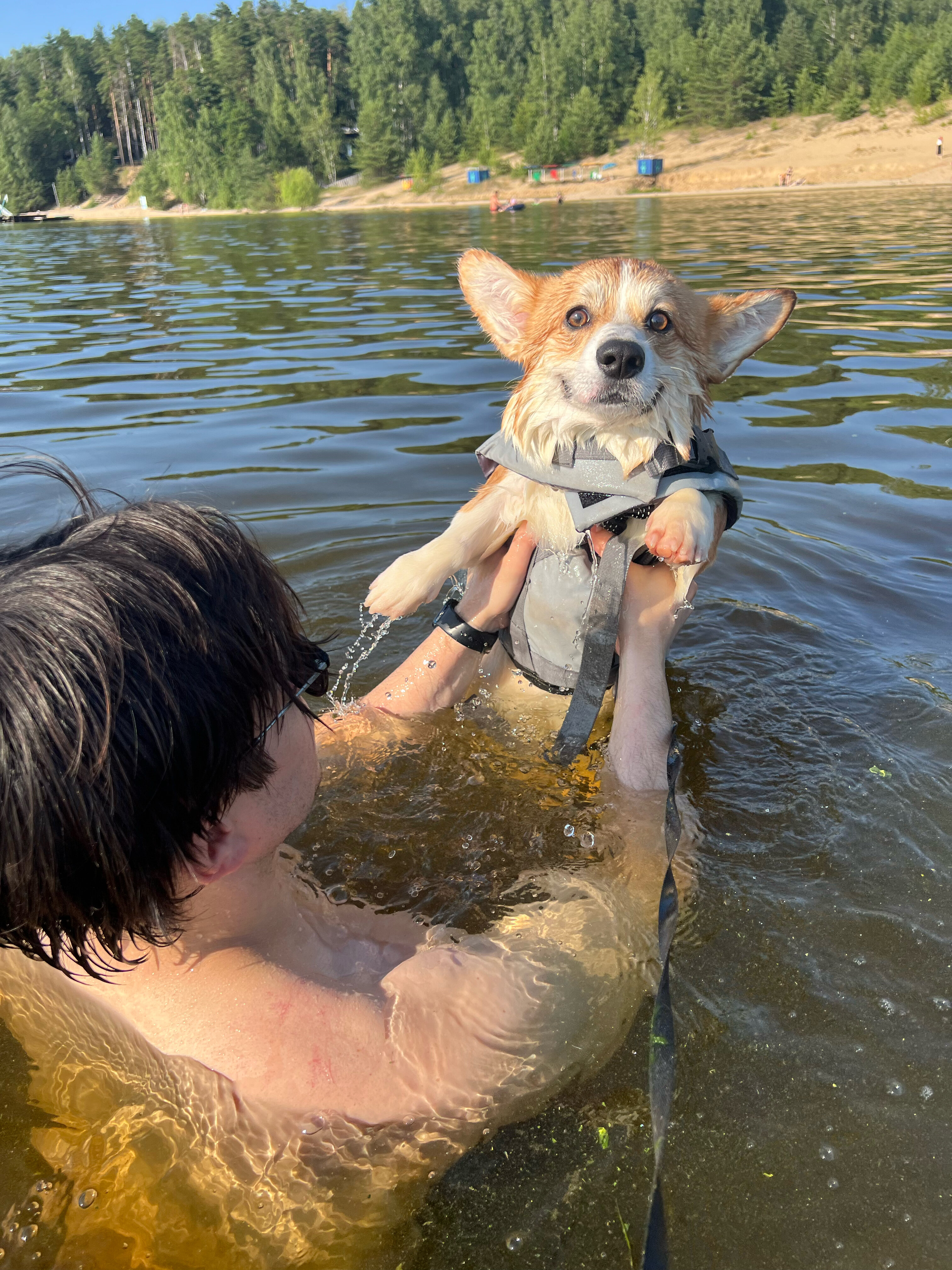 Фото Горький Виледж