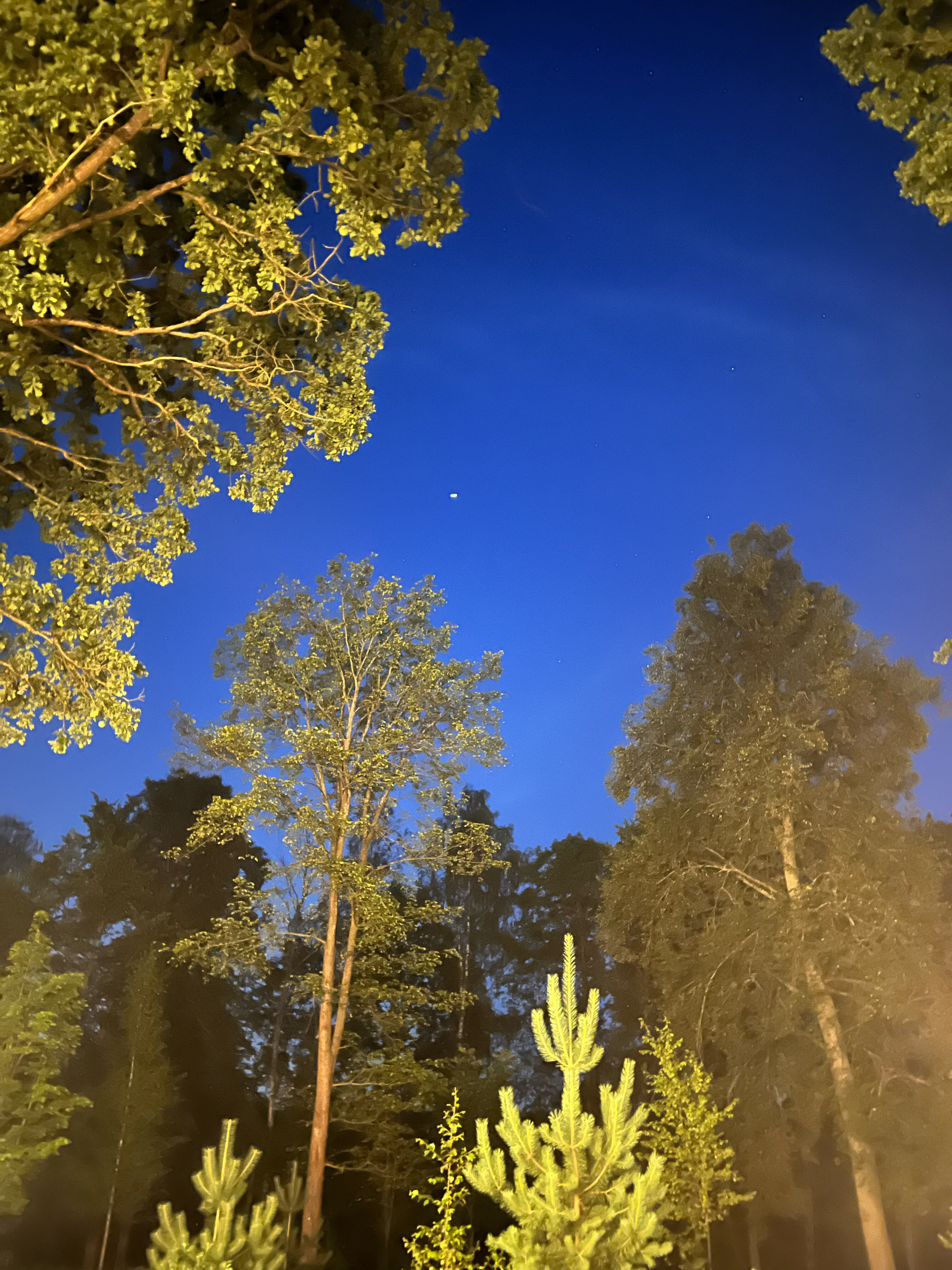 Фото Indie House