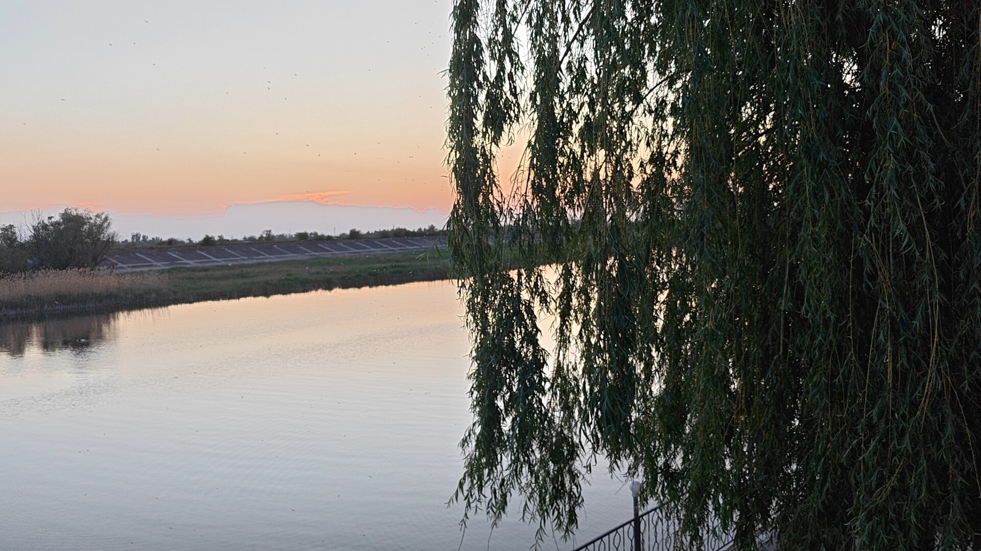 Фото Терраса