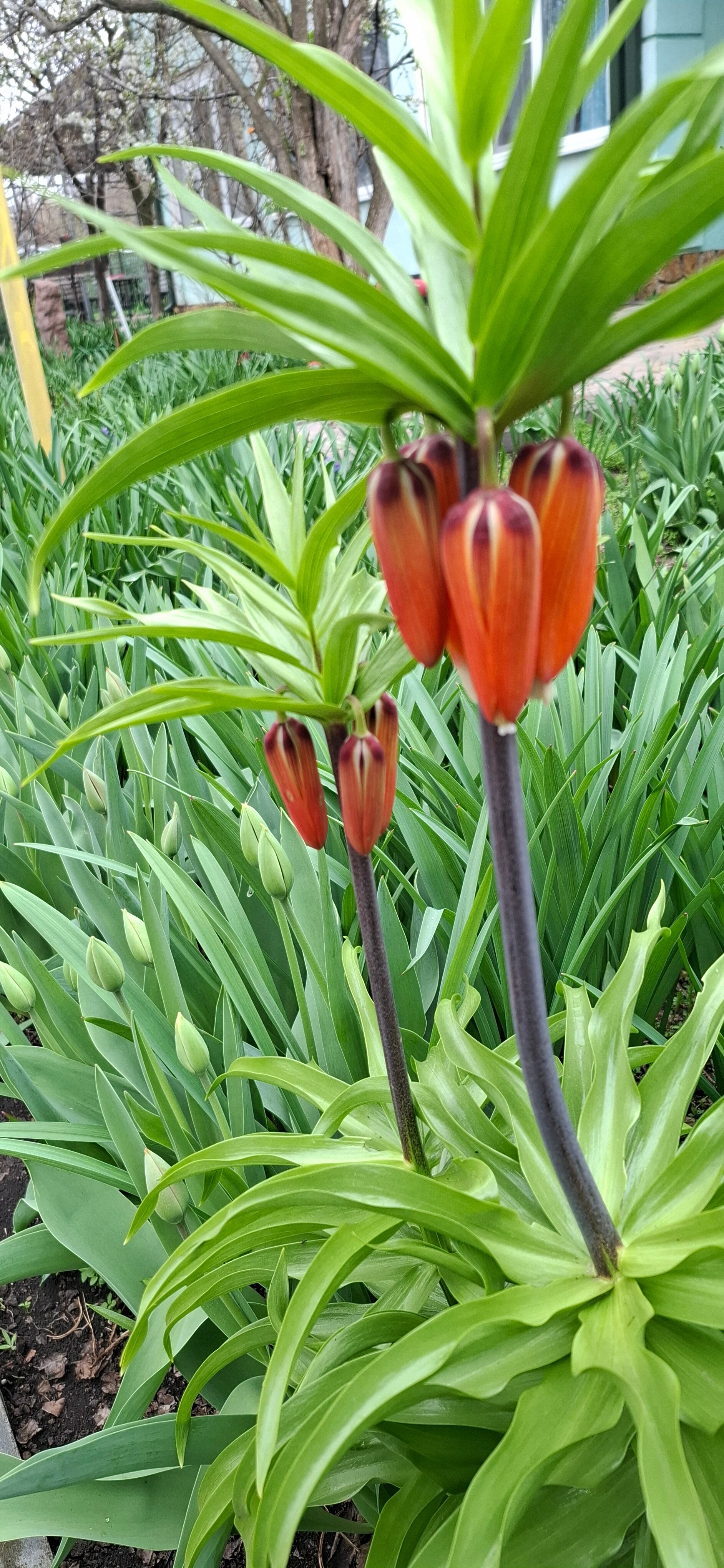 Фото Тамара