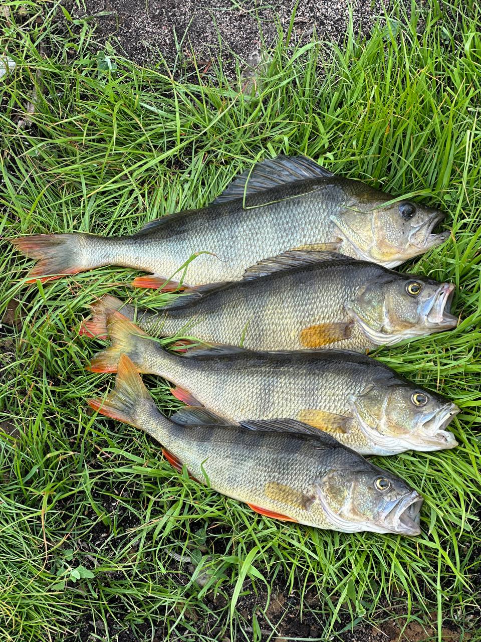 Фото От края до края