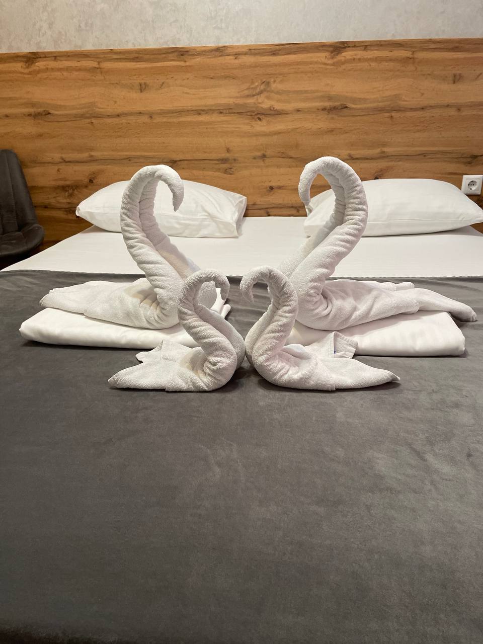 Фото Киго Спартак