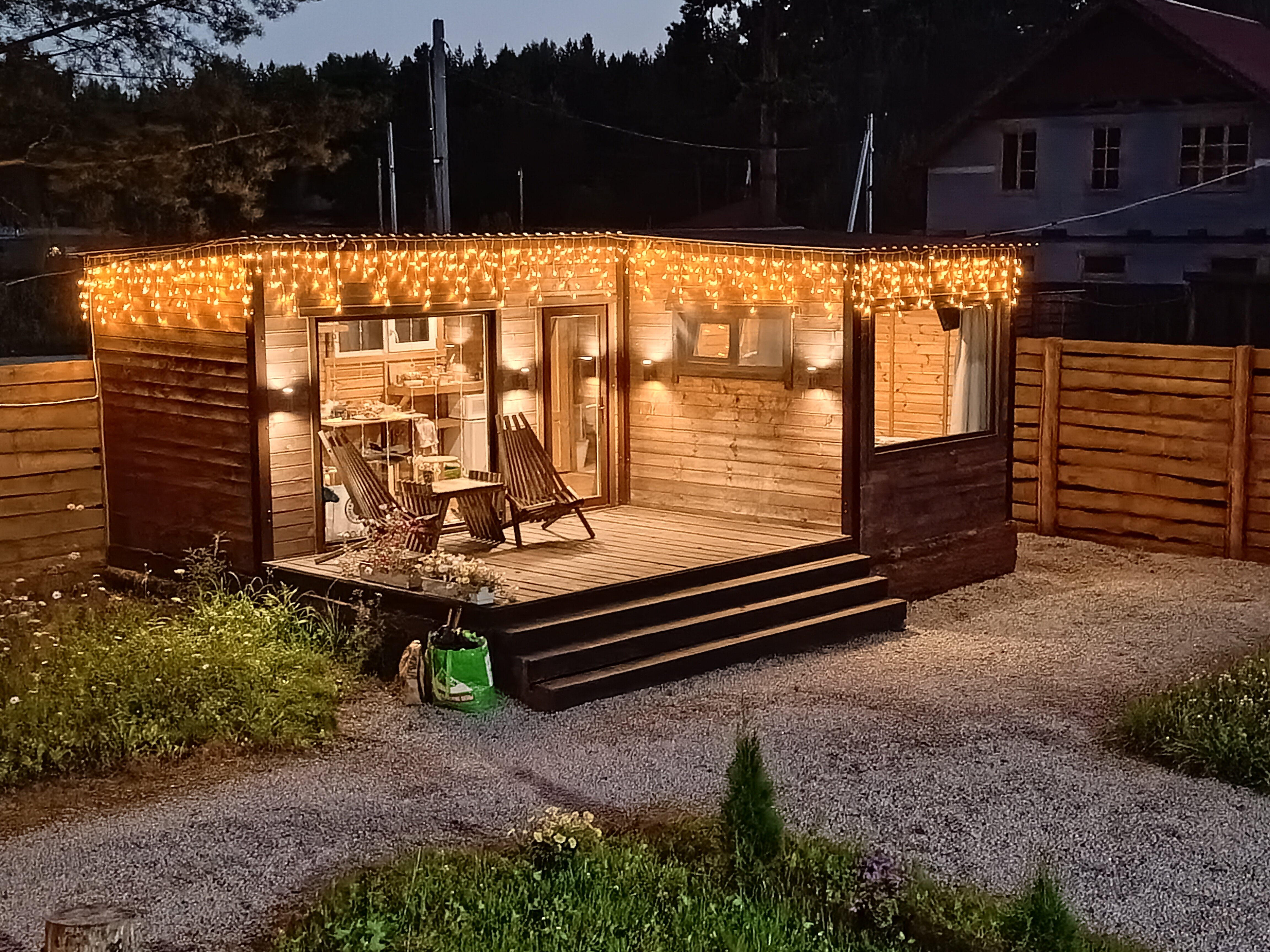 Фото Тихий Кот