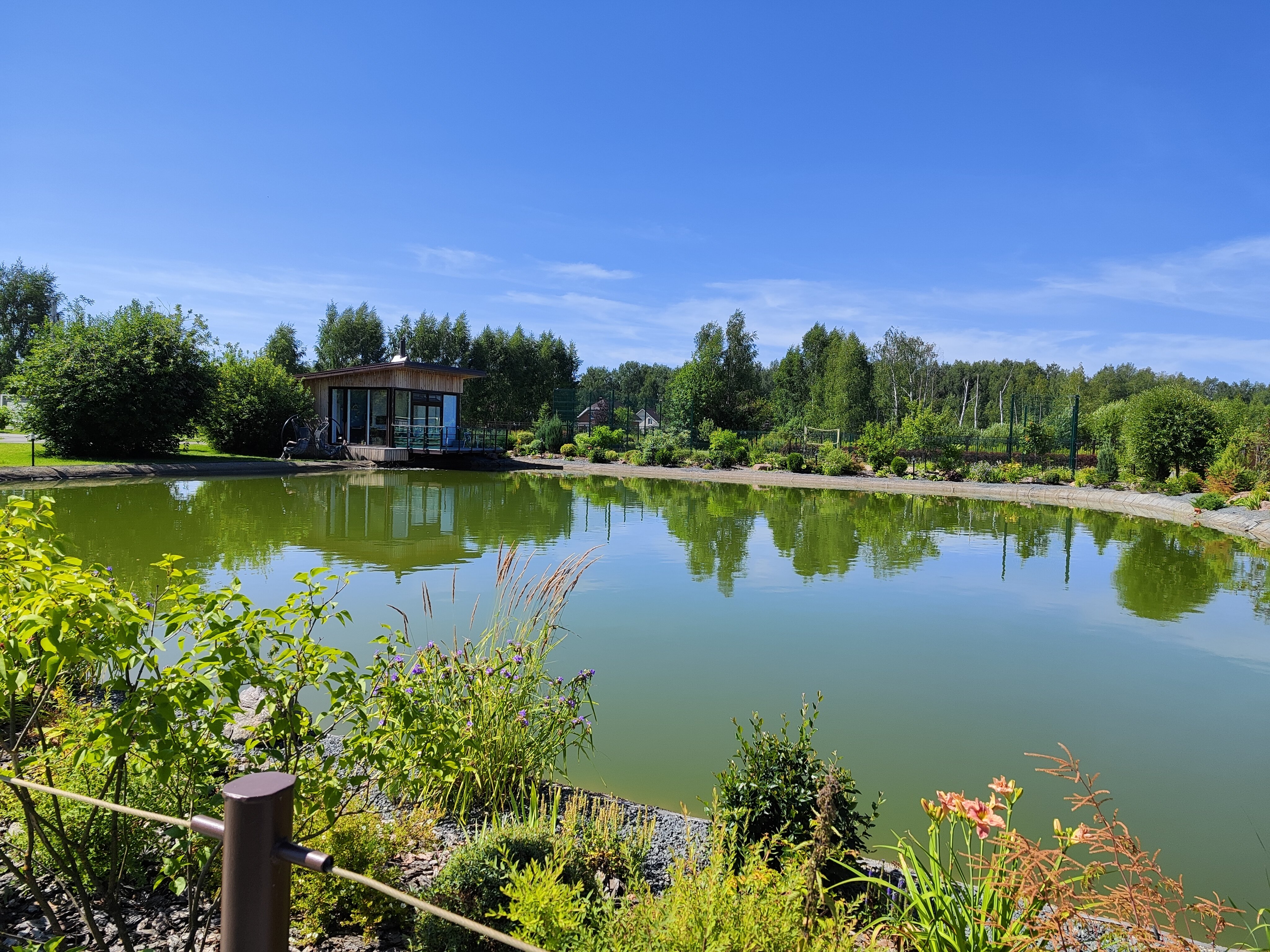 Фото Колибри