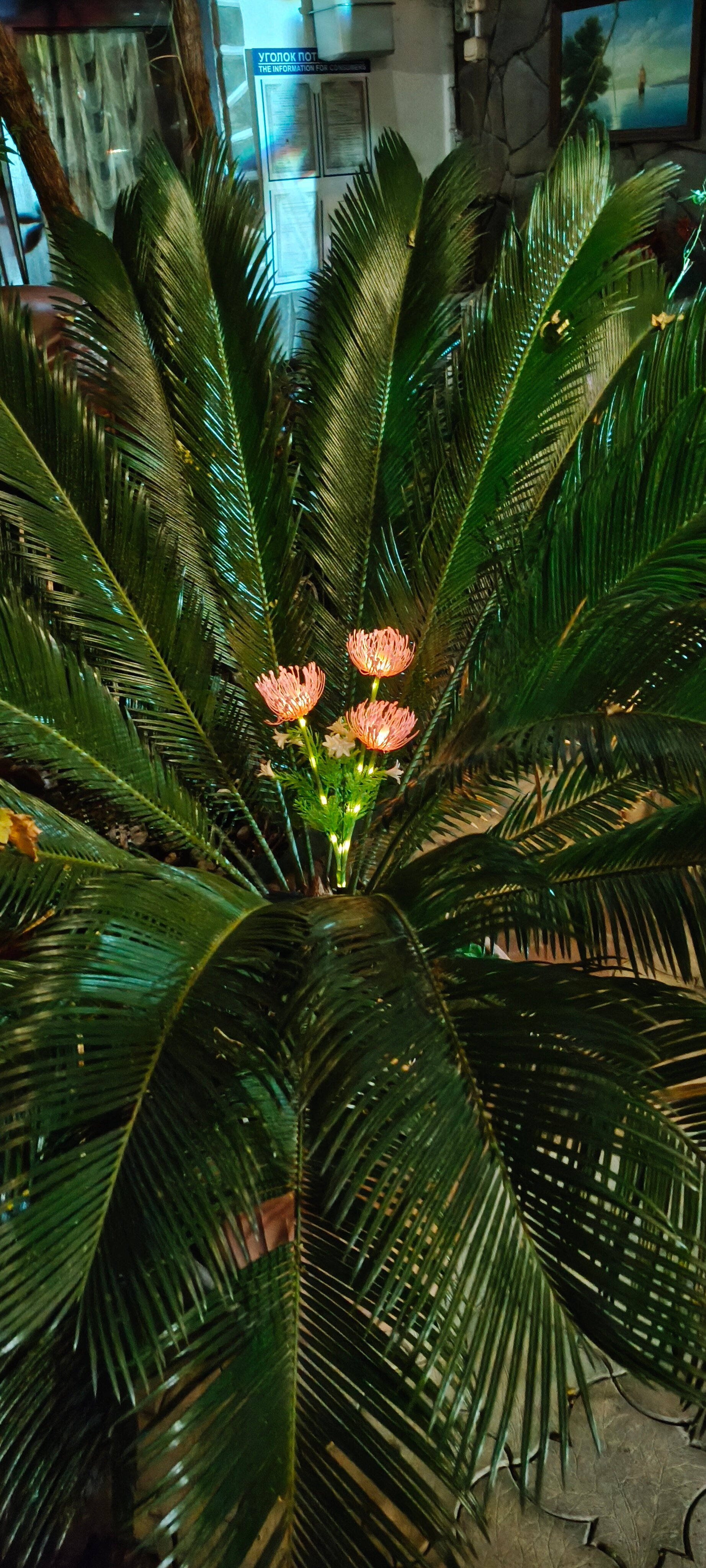 Фото Гостевой дом Гавань-Адлер