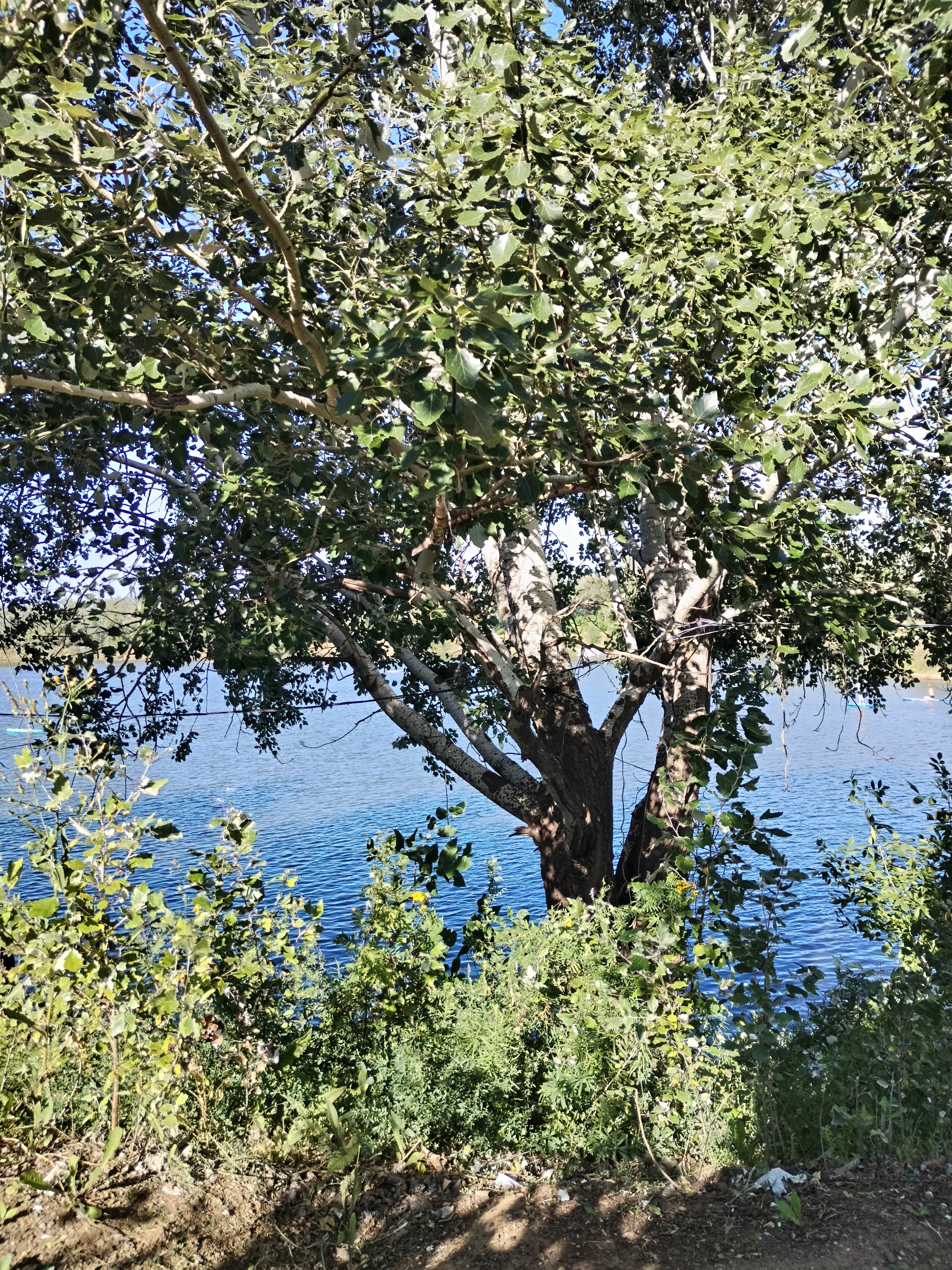 Фото Водно-спортивный клуб Seventh Heaven