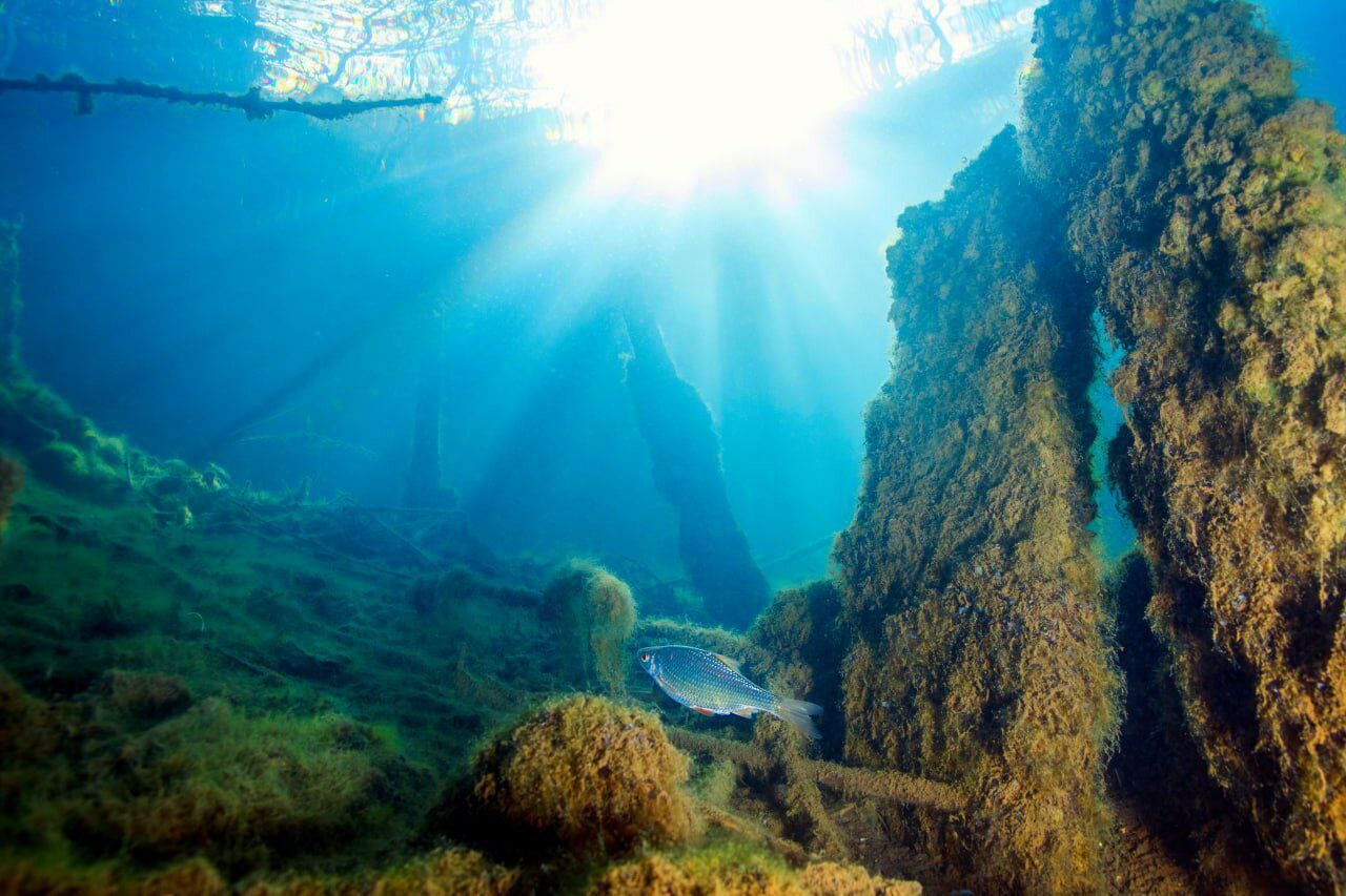 Фото Гостиница Спас-Каменка