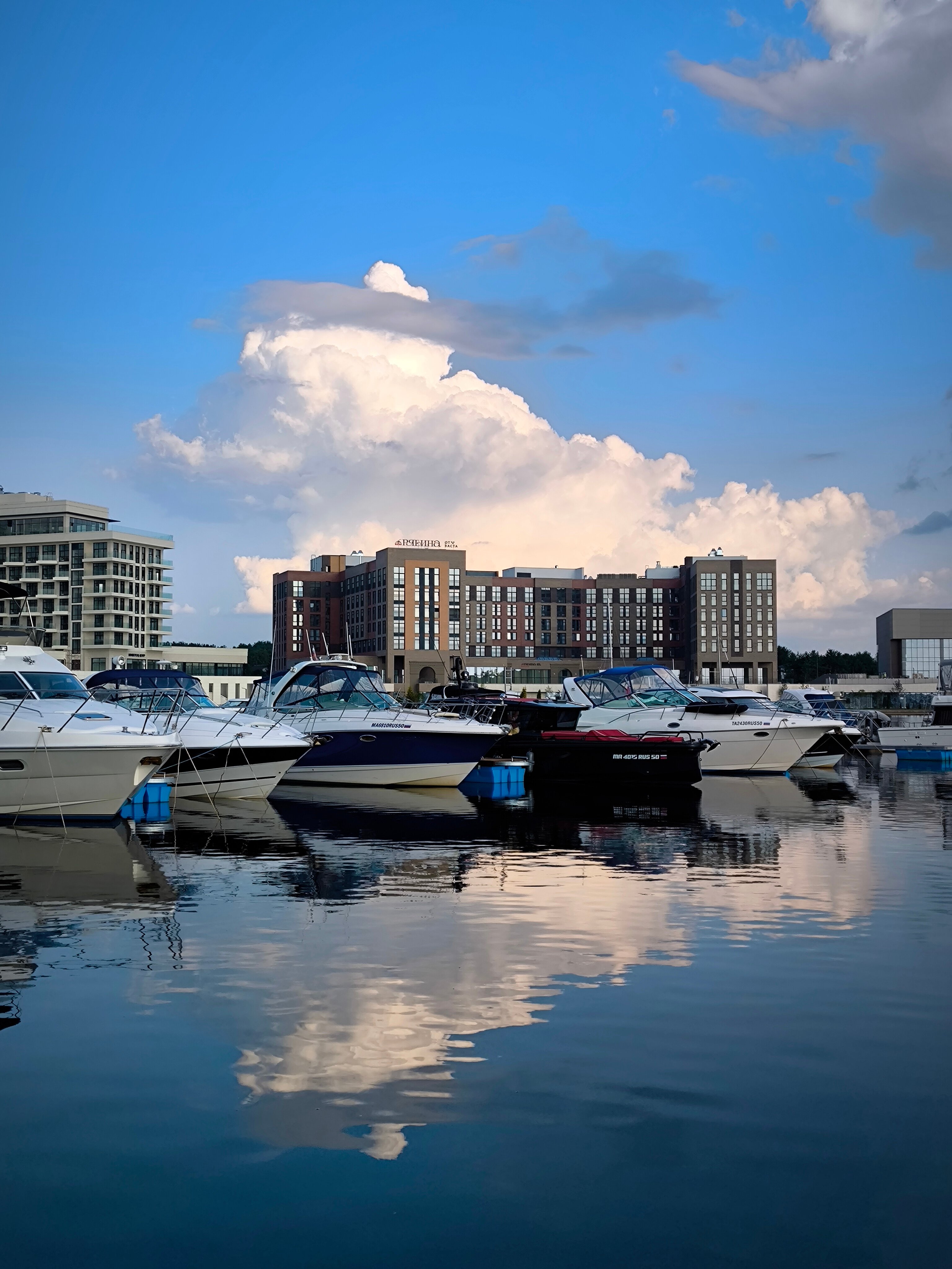 Фото Рябина от Васта