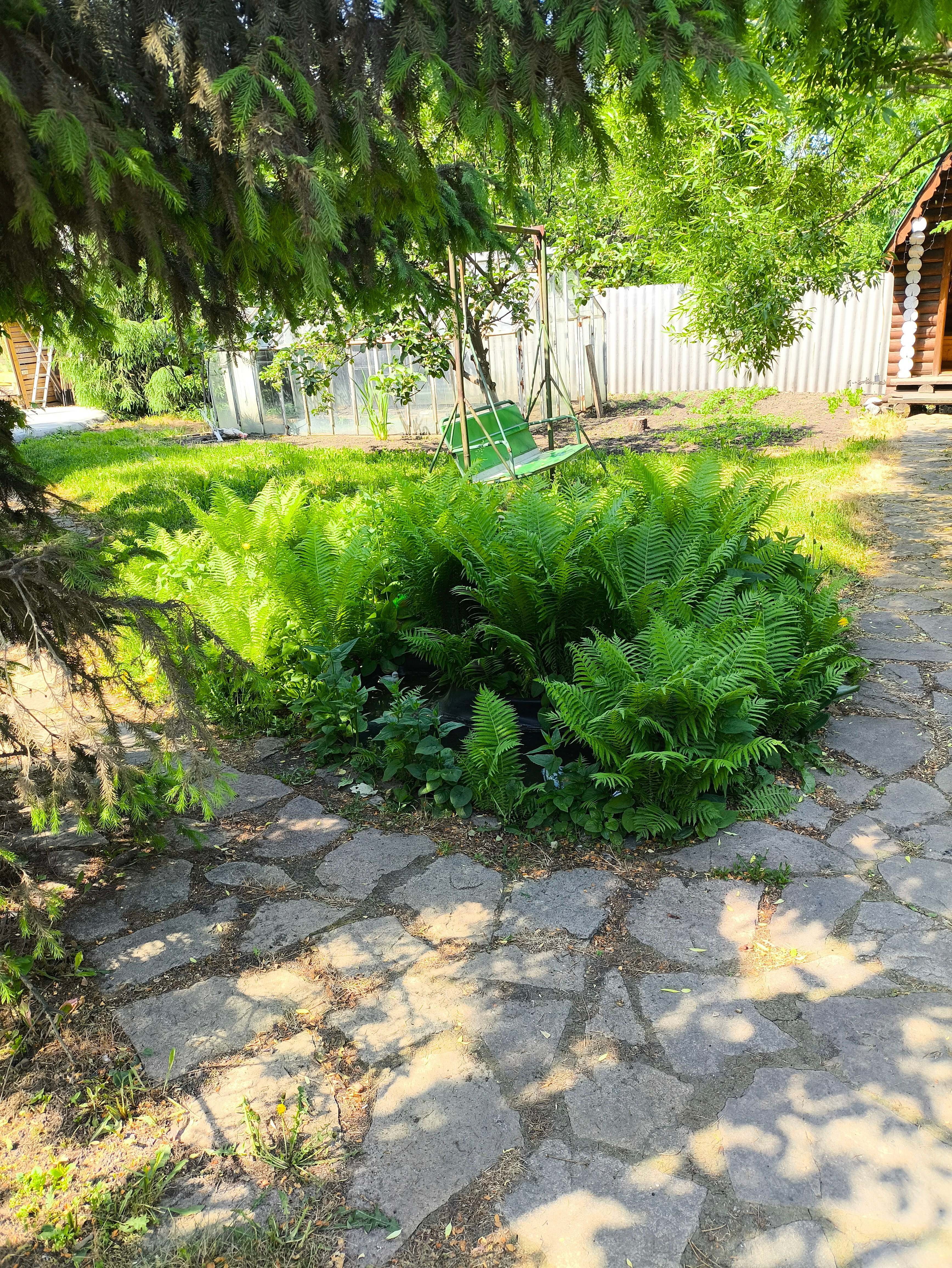 Фото Десятка