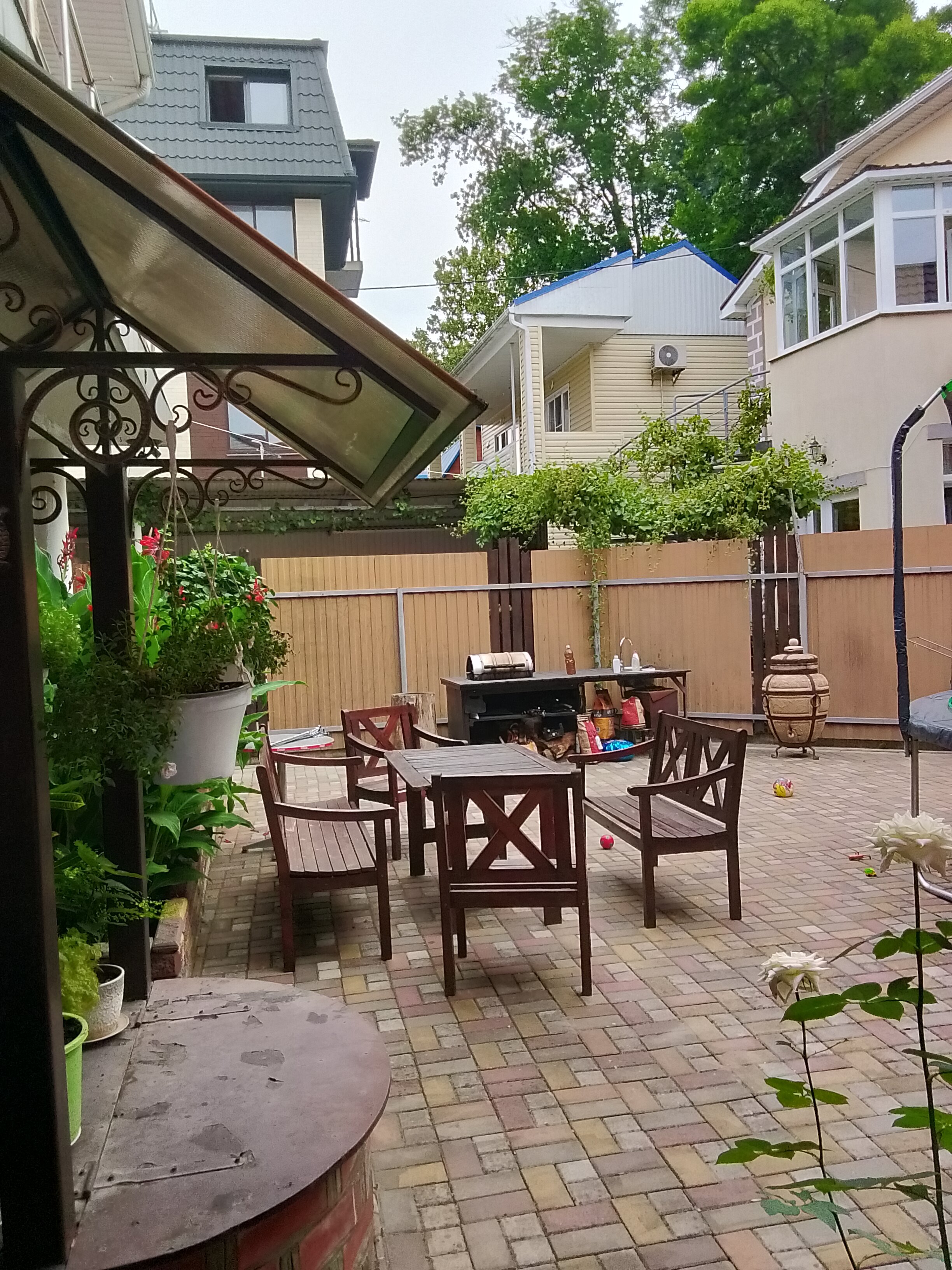 Фото Малина