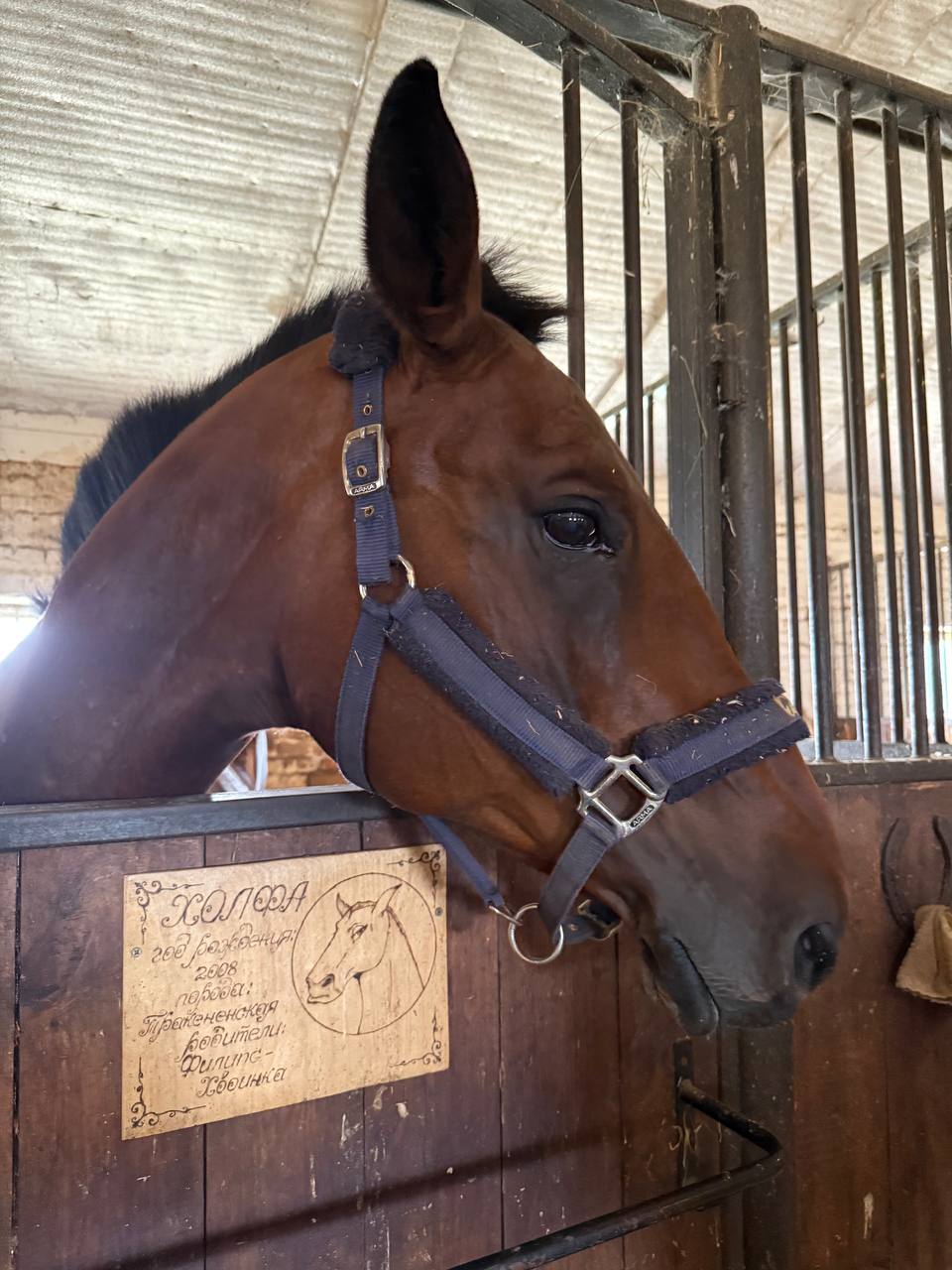 Фото Пятница Эко-Курорт