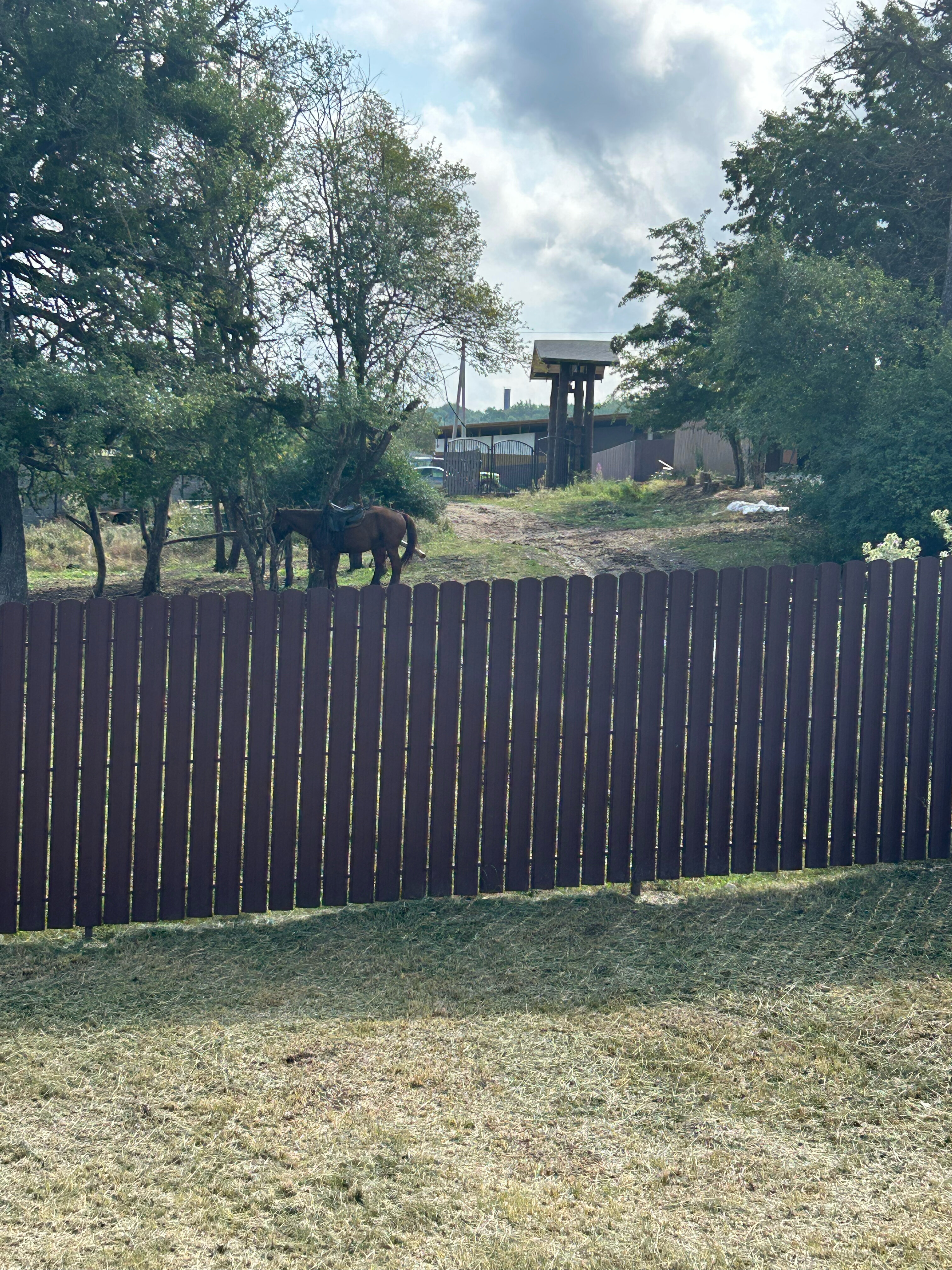 Фото Благость