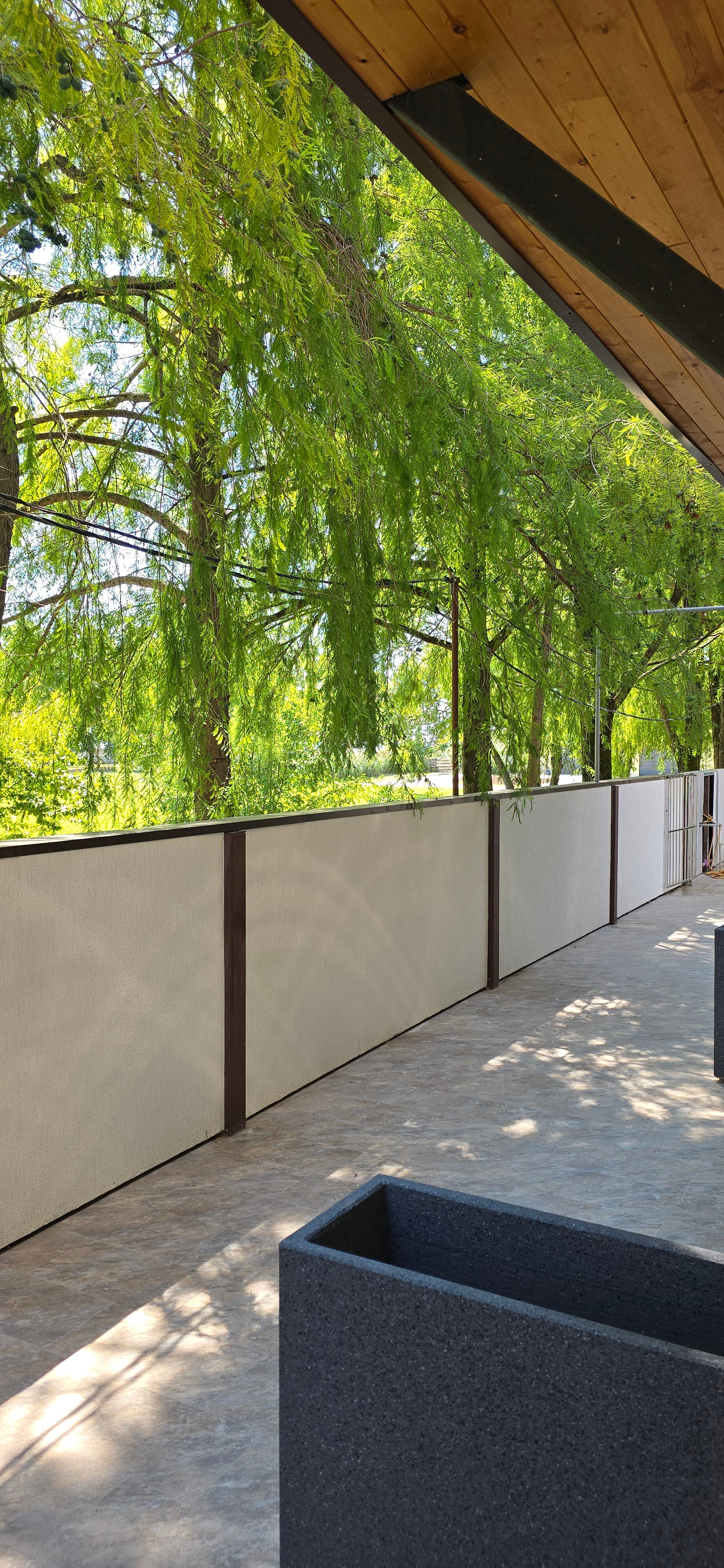 Фото Голден Норрис