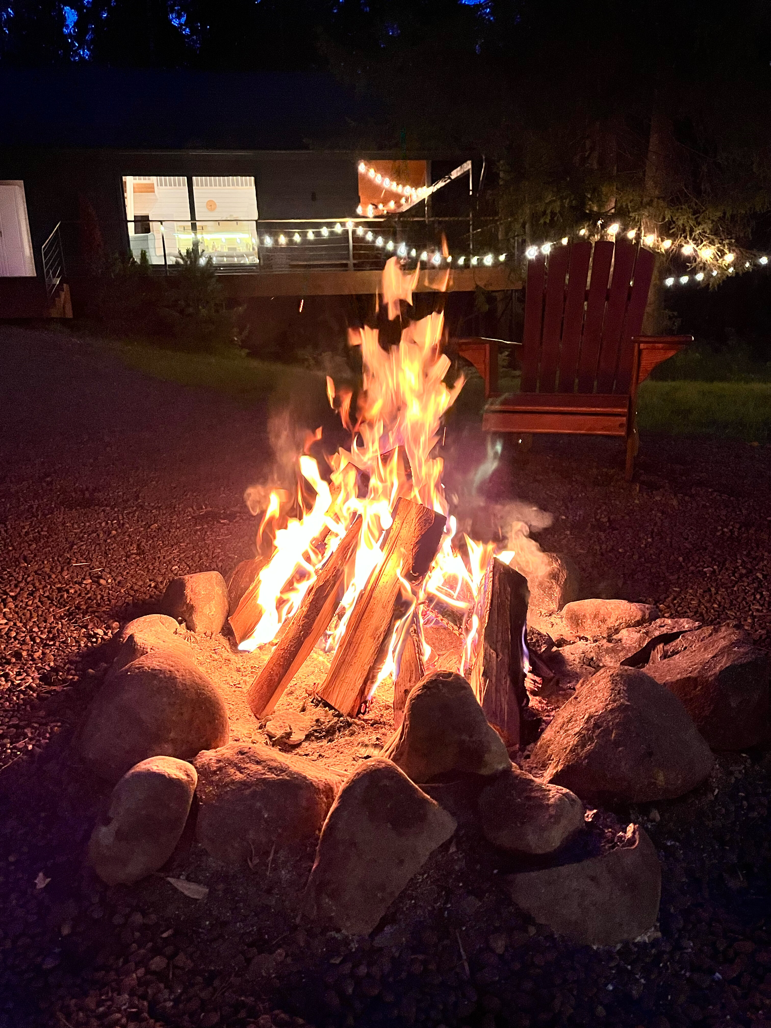 Фото Fox in forest