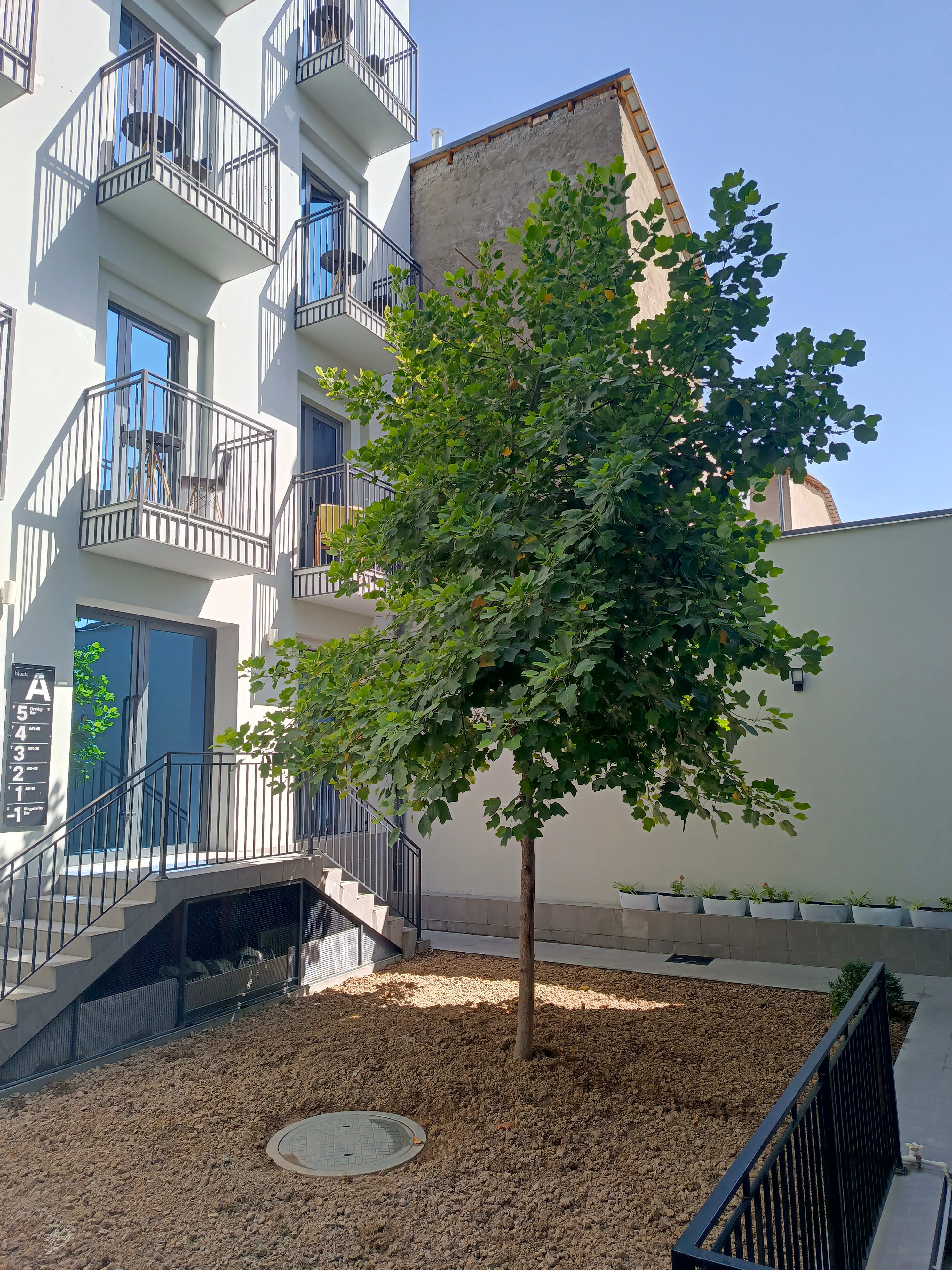 Фото Sapiens Hotel