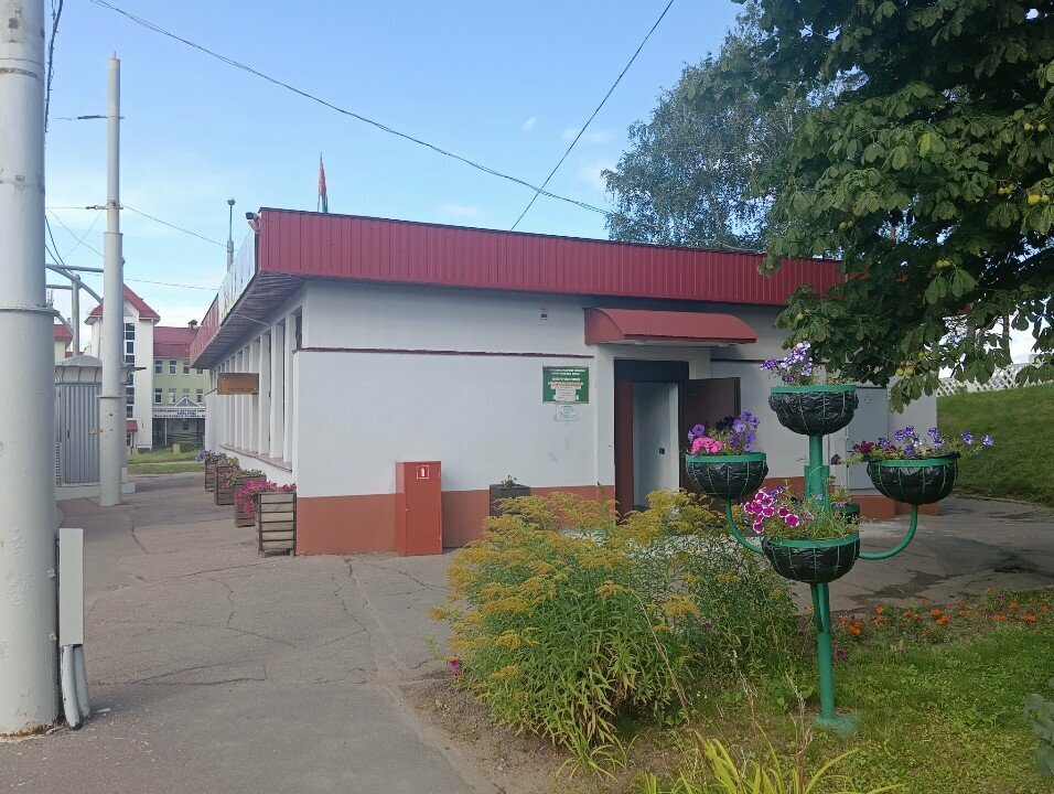 Автовокзал, автостанция Веснянка, Минск, фото