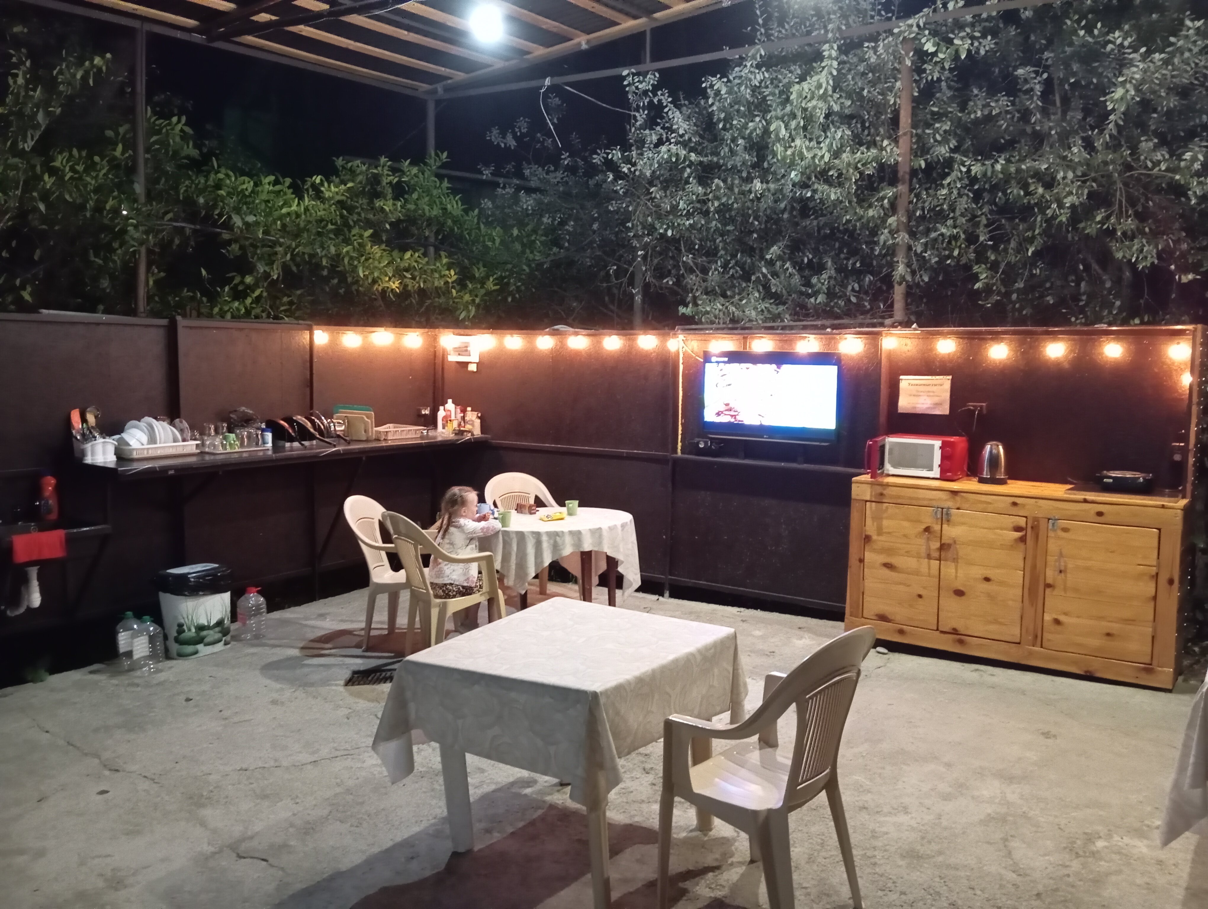 Фото Гостевой дом Пальма