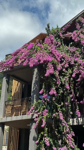 Внешний вид отеля Аимара в Гагре, фото 2