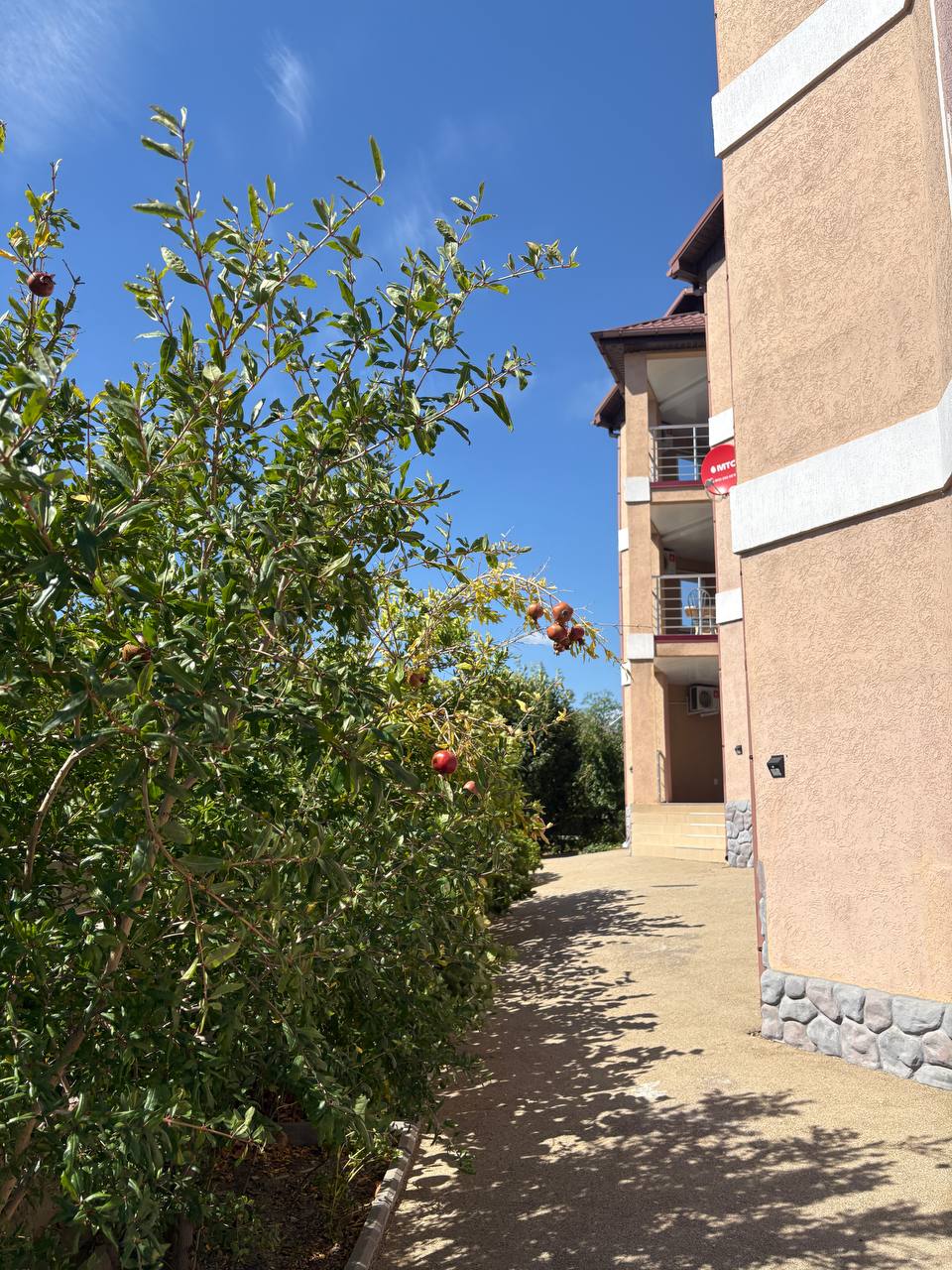 Фото Звездный