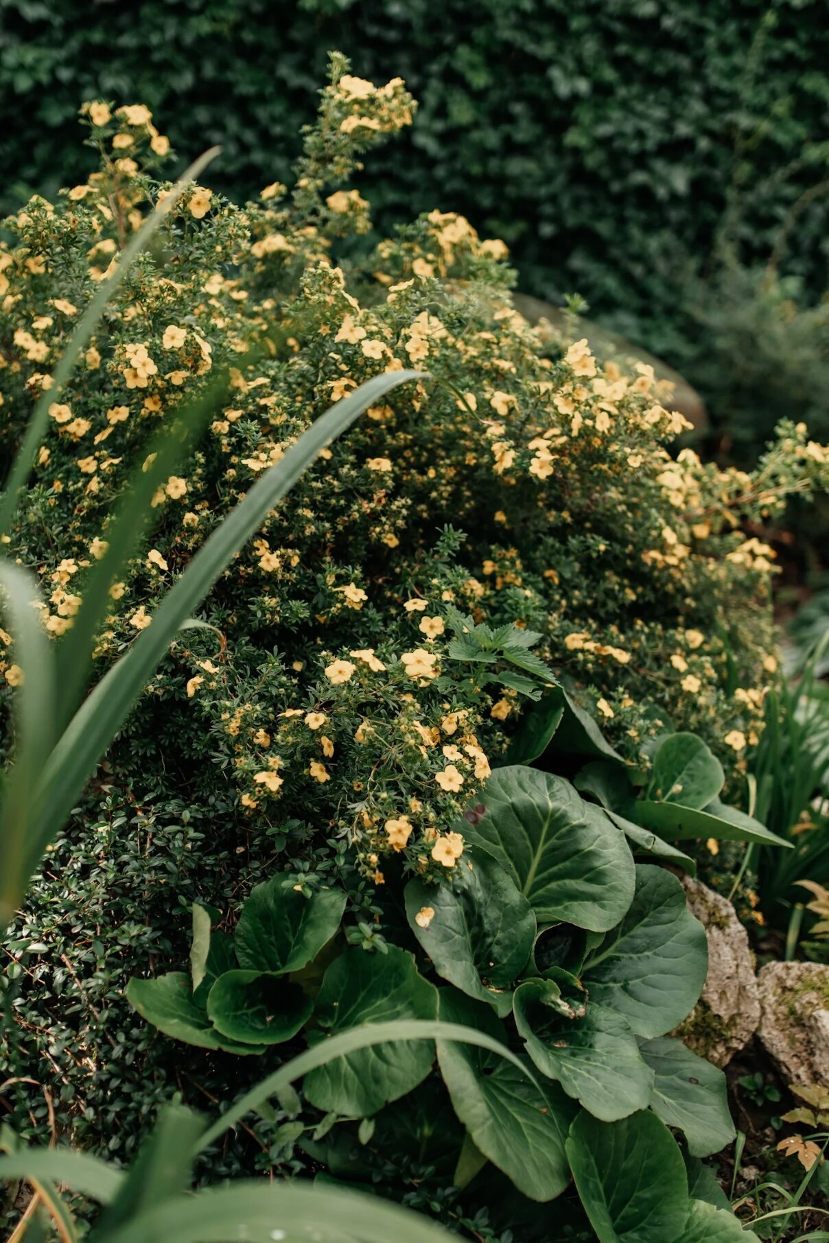 Фото Точка 8