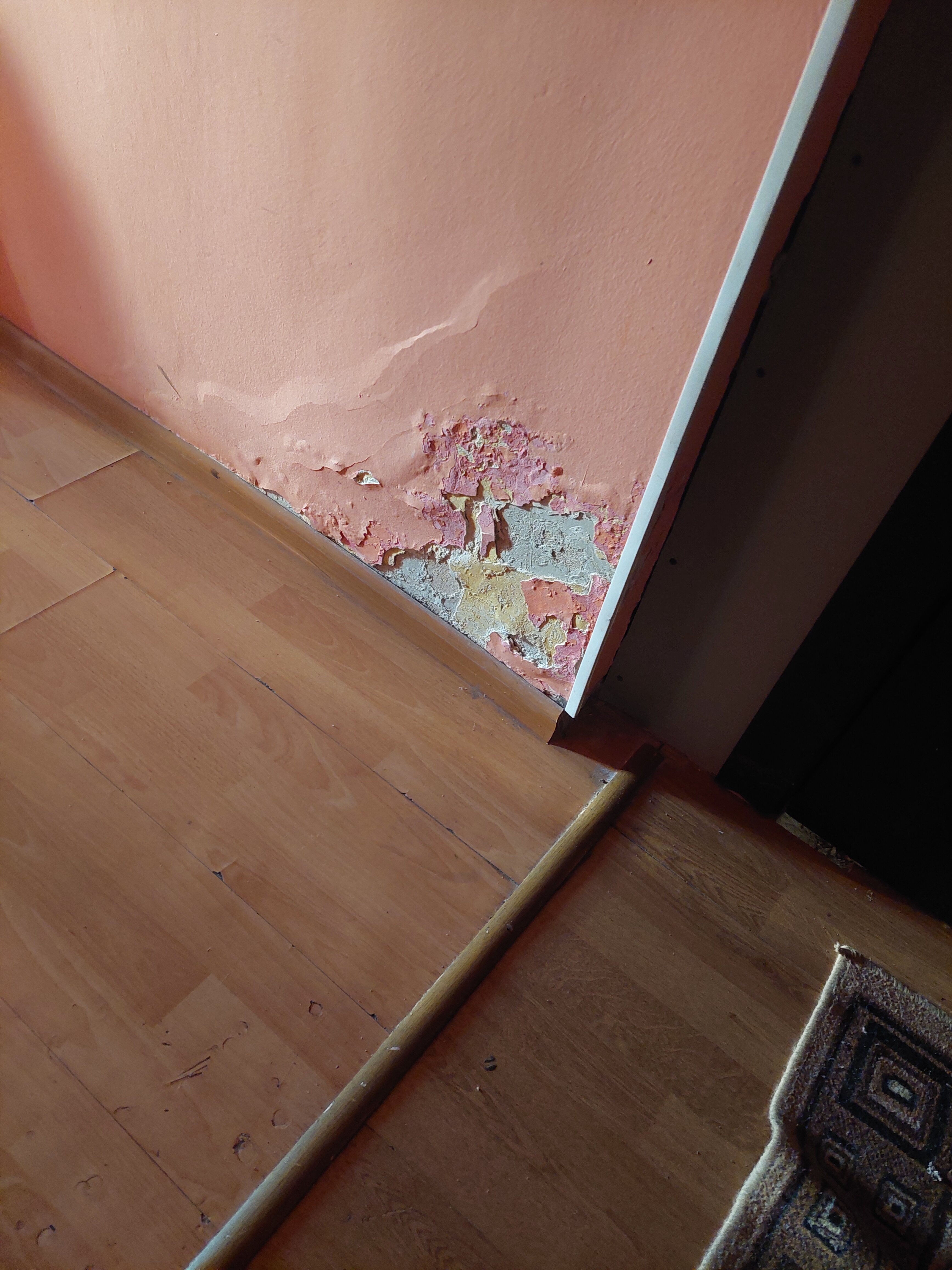 Фото Добрые соседи