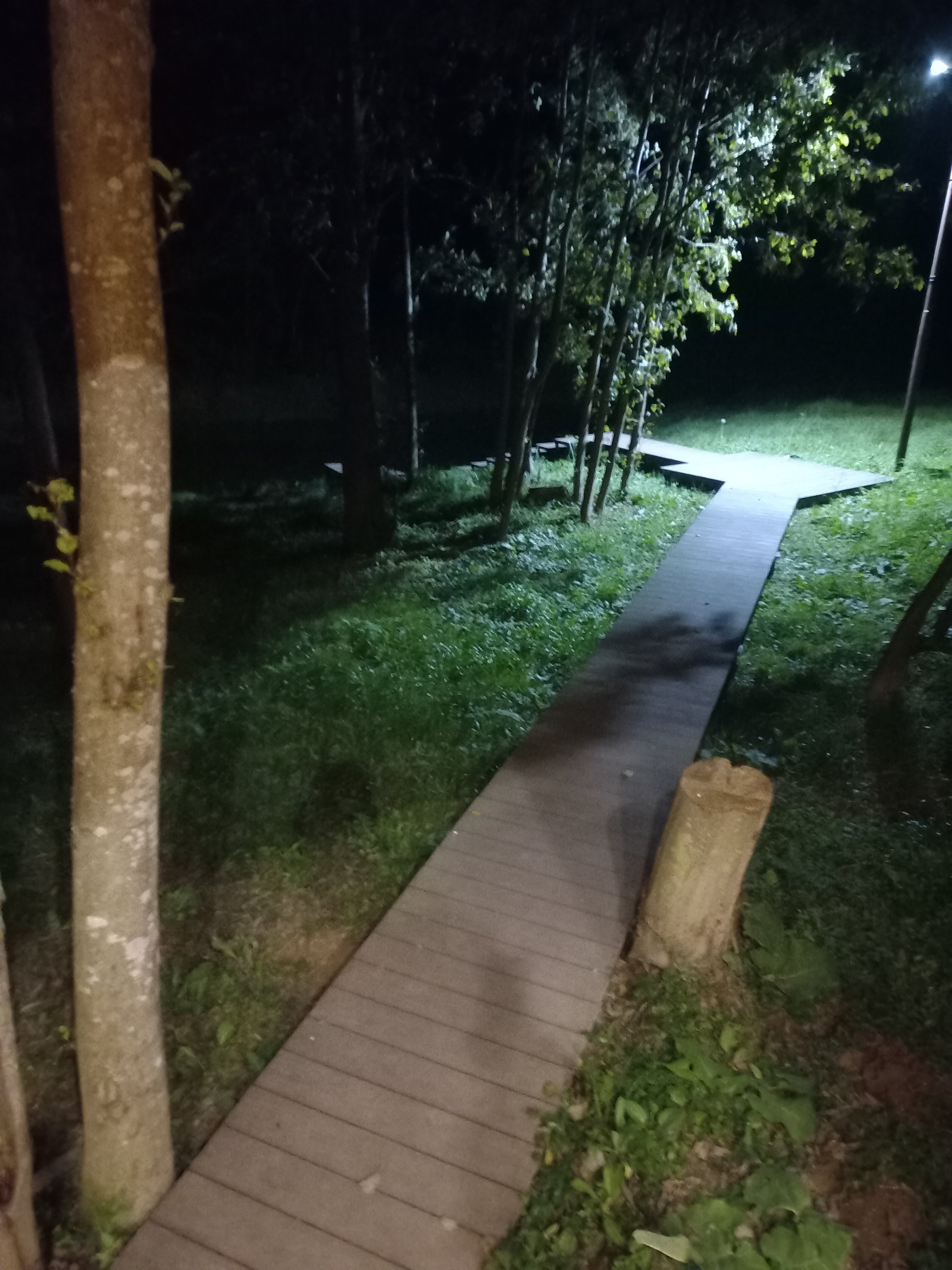 Фото Романов дача