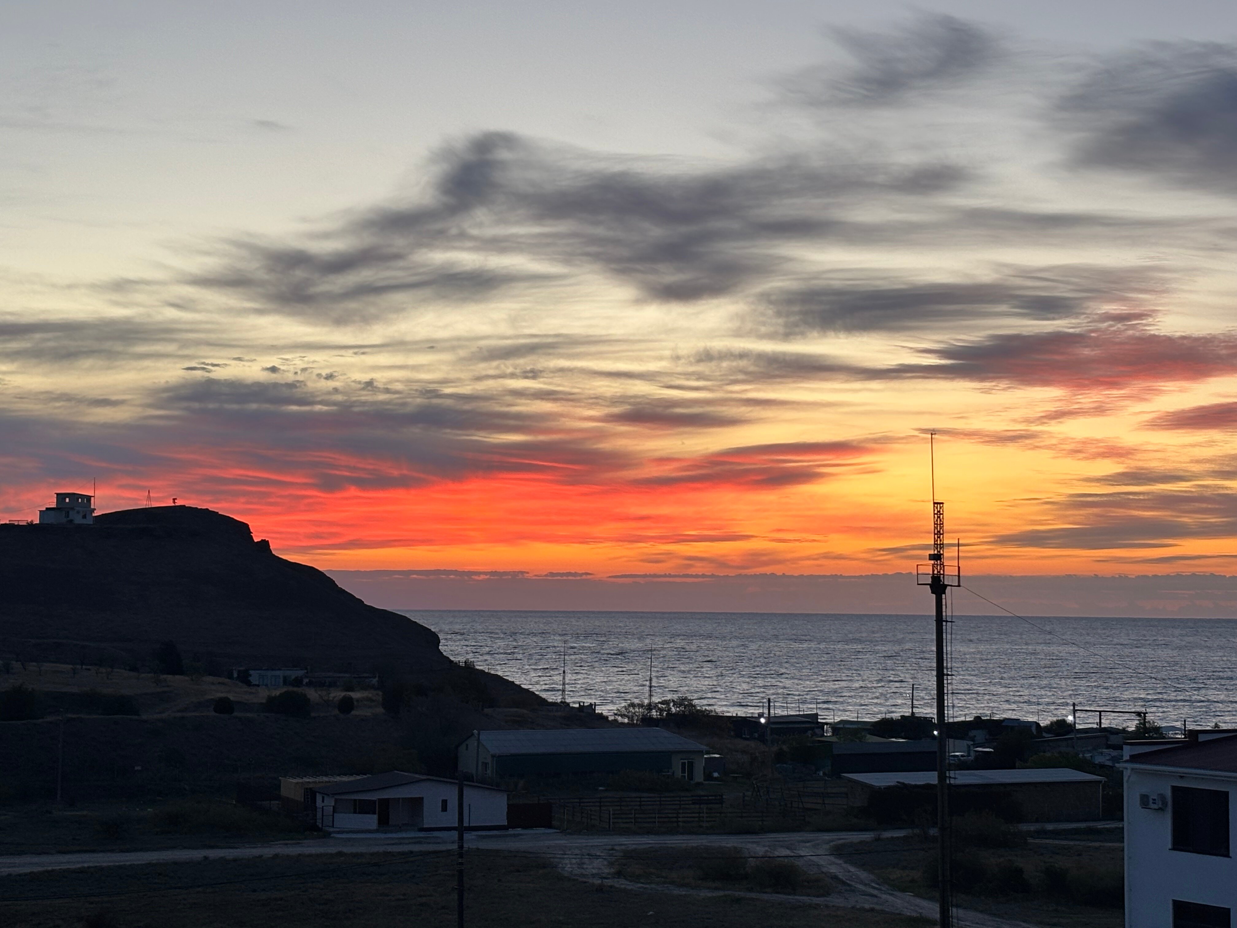 Фото Кипарис