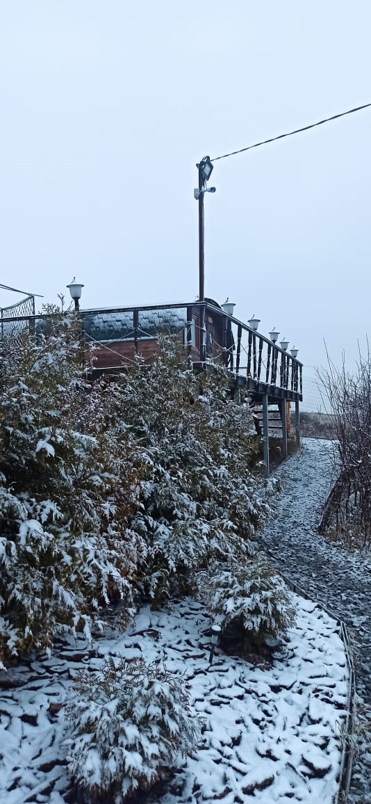 Фото Домик в терновнике